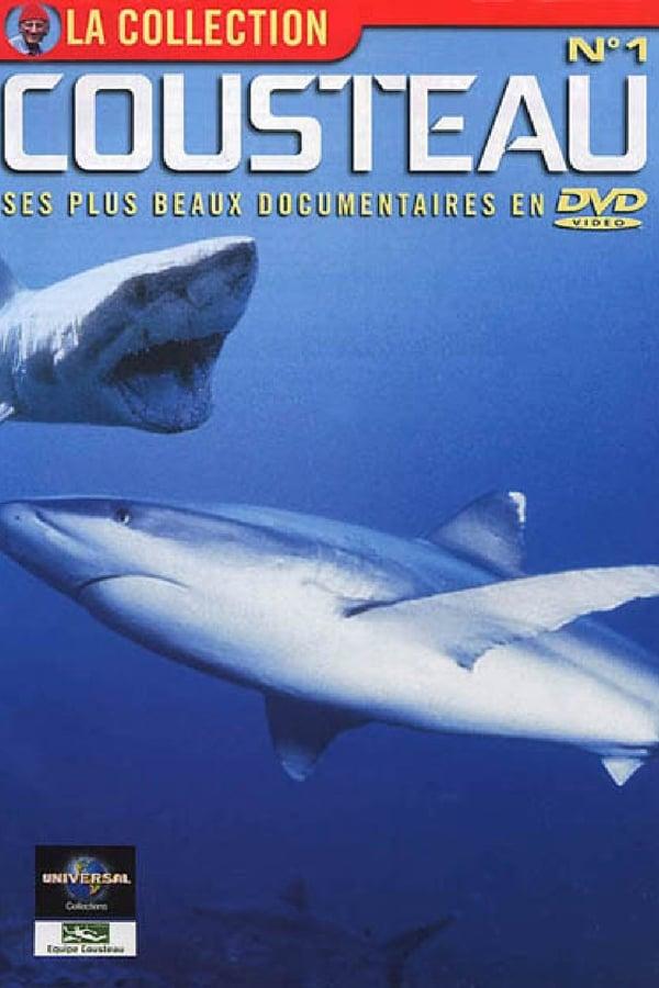 El mundo submarino de Jacques Cousteau streaming