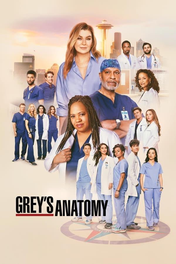 Grey's Anatomy streaming