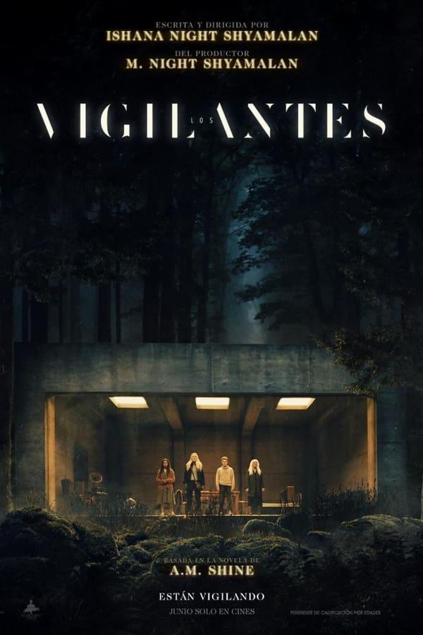 Los vigilantes streaming