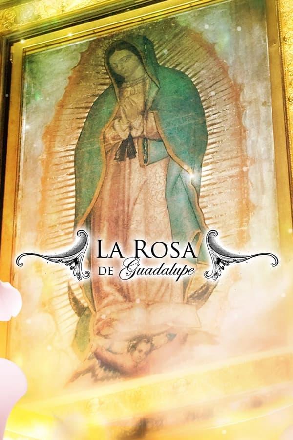 La rosa de Guadalupe streaming