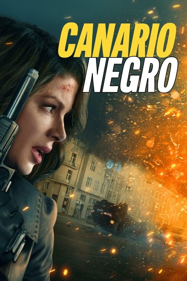 Canario Negro streaming