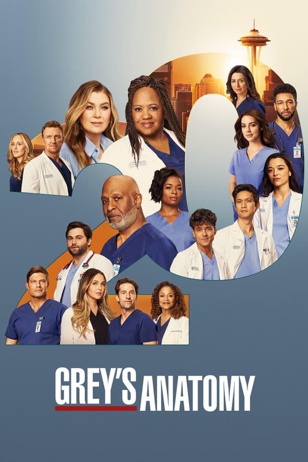 Grey's Anatomy streaming