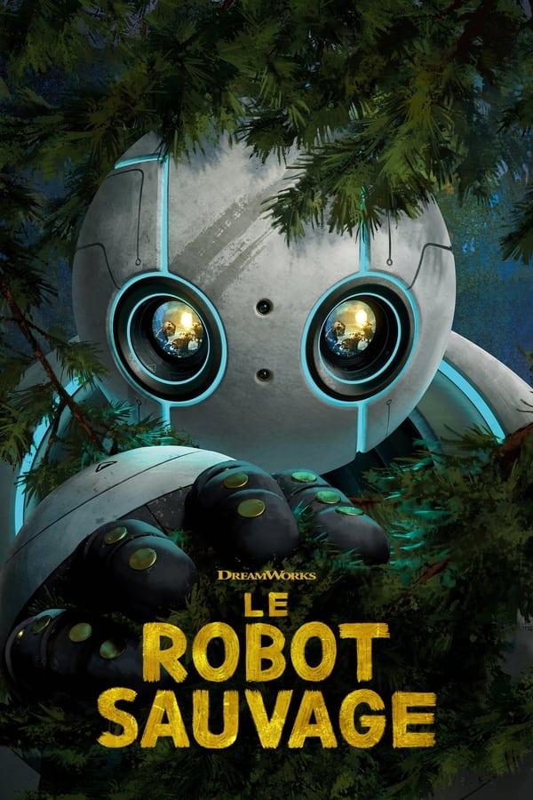 Le Robot sauvage streaming