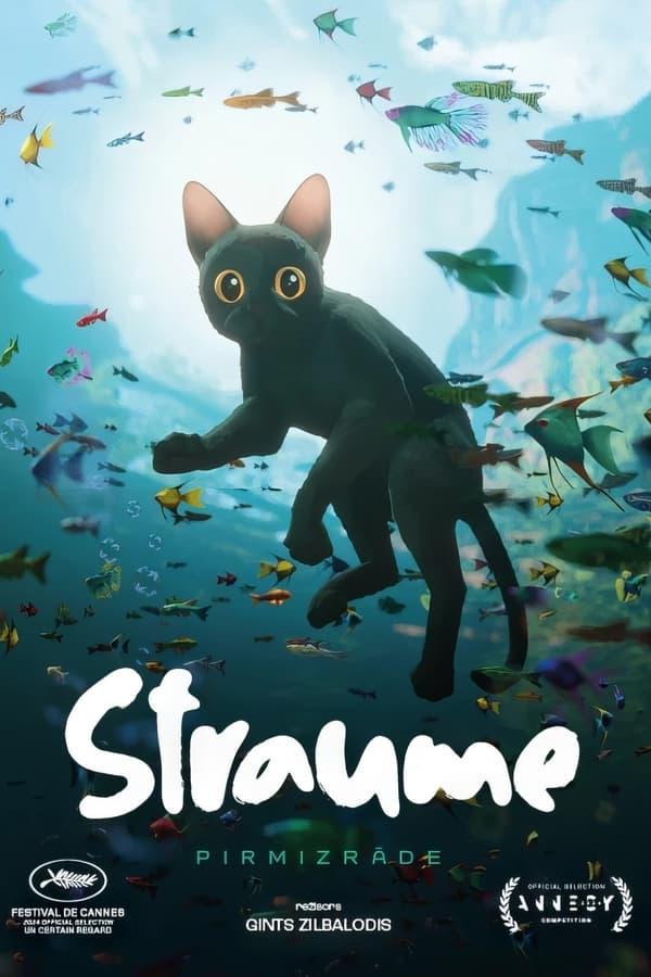 Flow, le chat qui n'avait plus peur de l'eau streaming