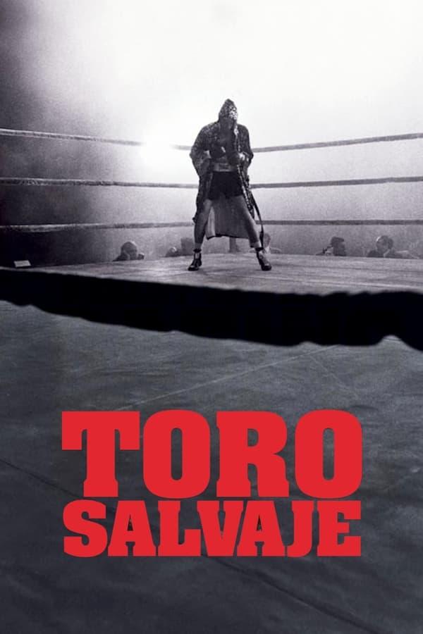 Toro salvaje streaming