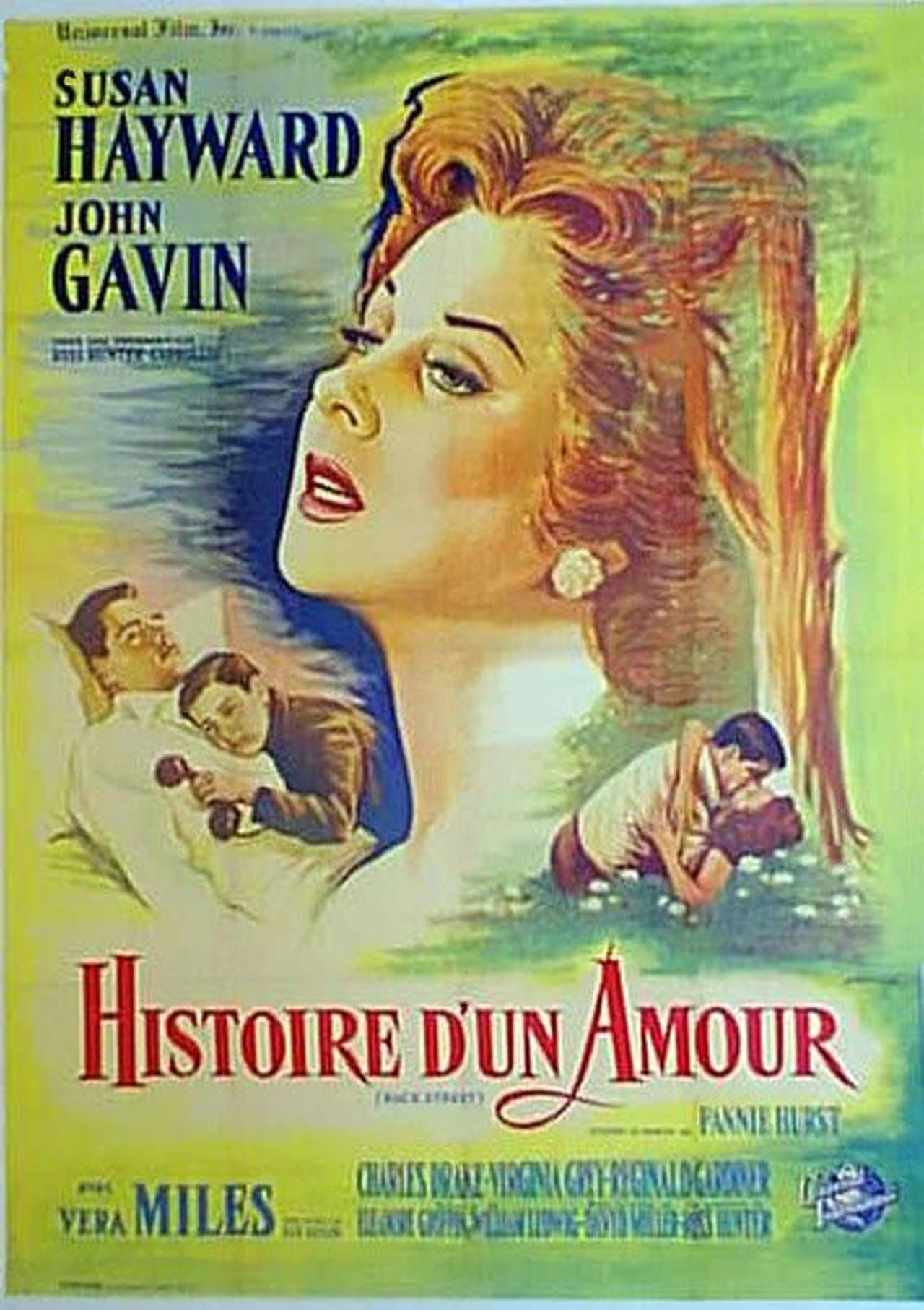 Histoire d'un amour streaming