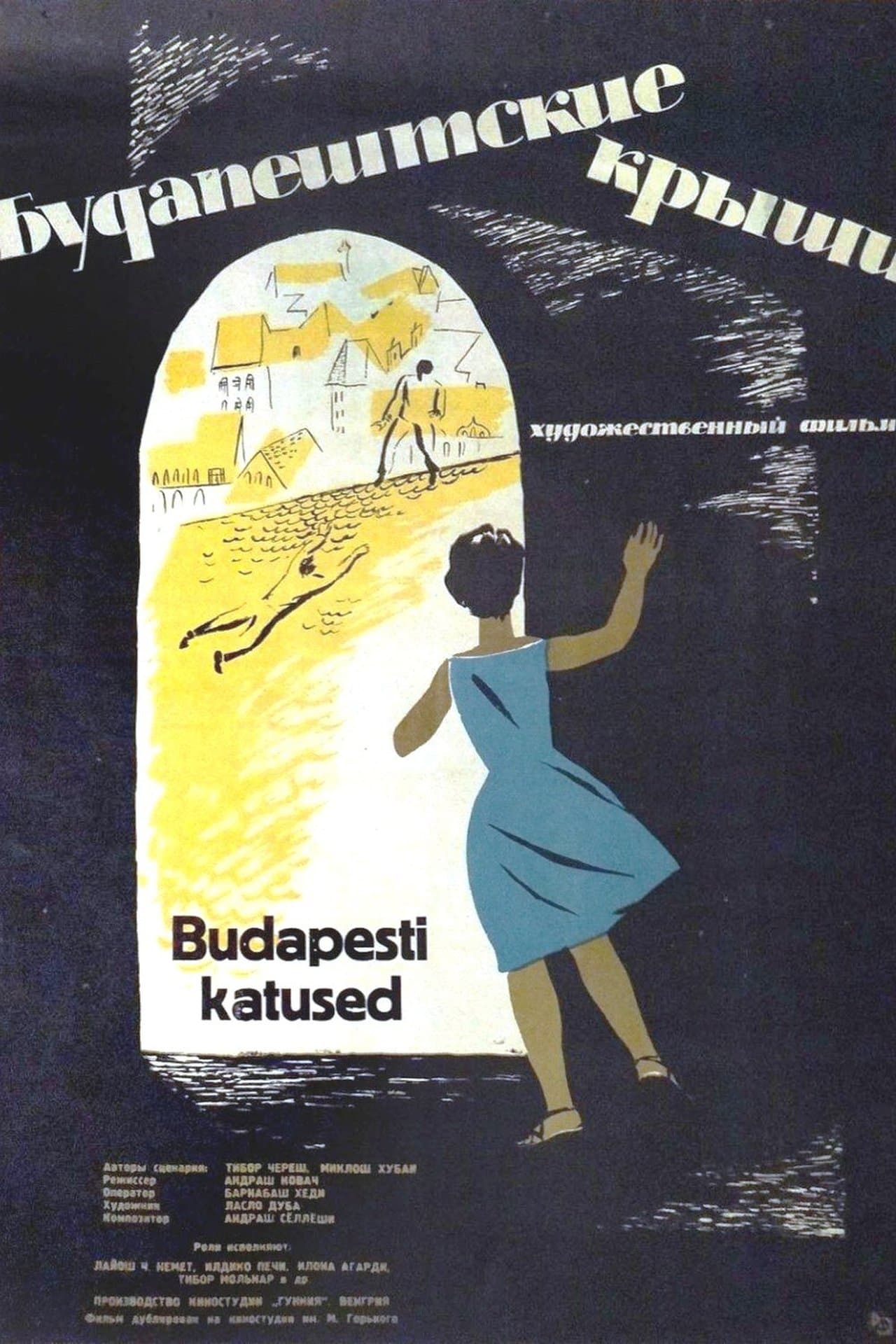Pesti háztetők streaming