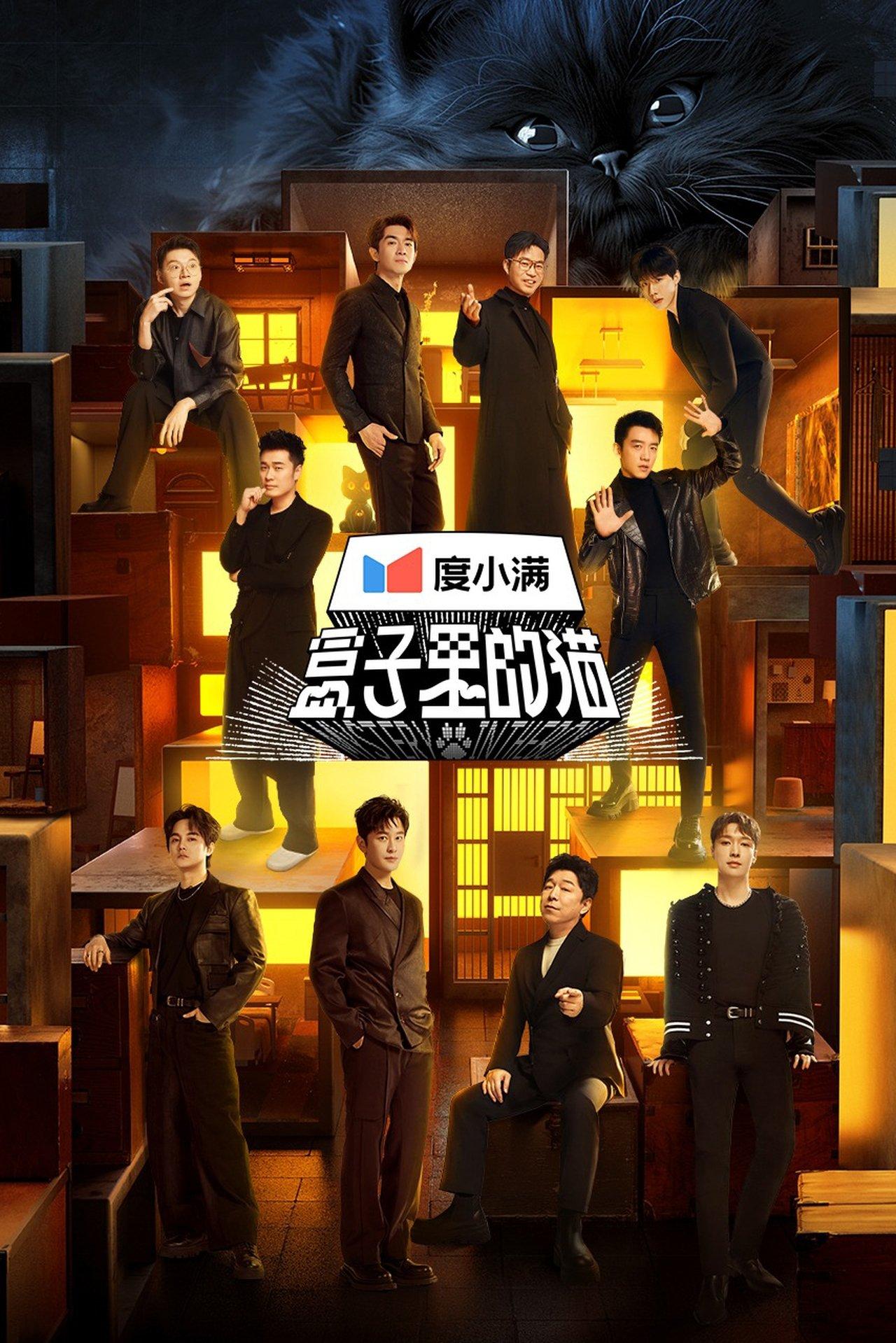 Mystery in the Box streaming