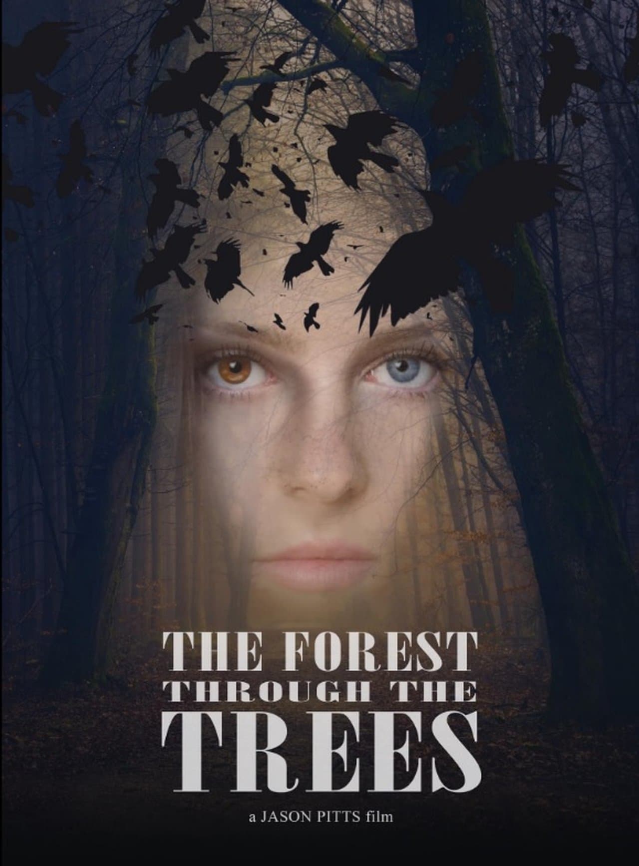 The Forest Through the Trees streaming
