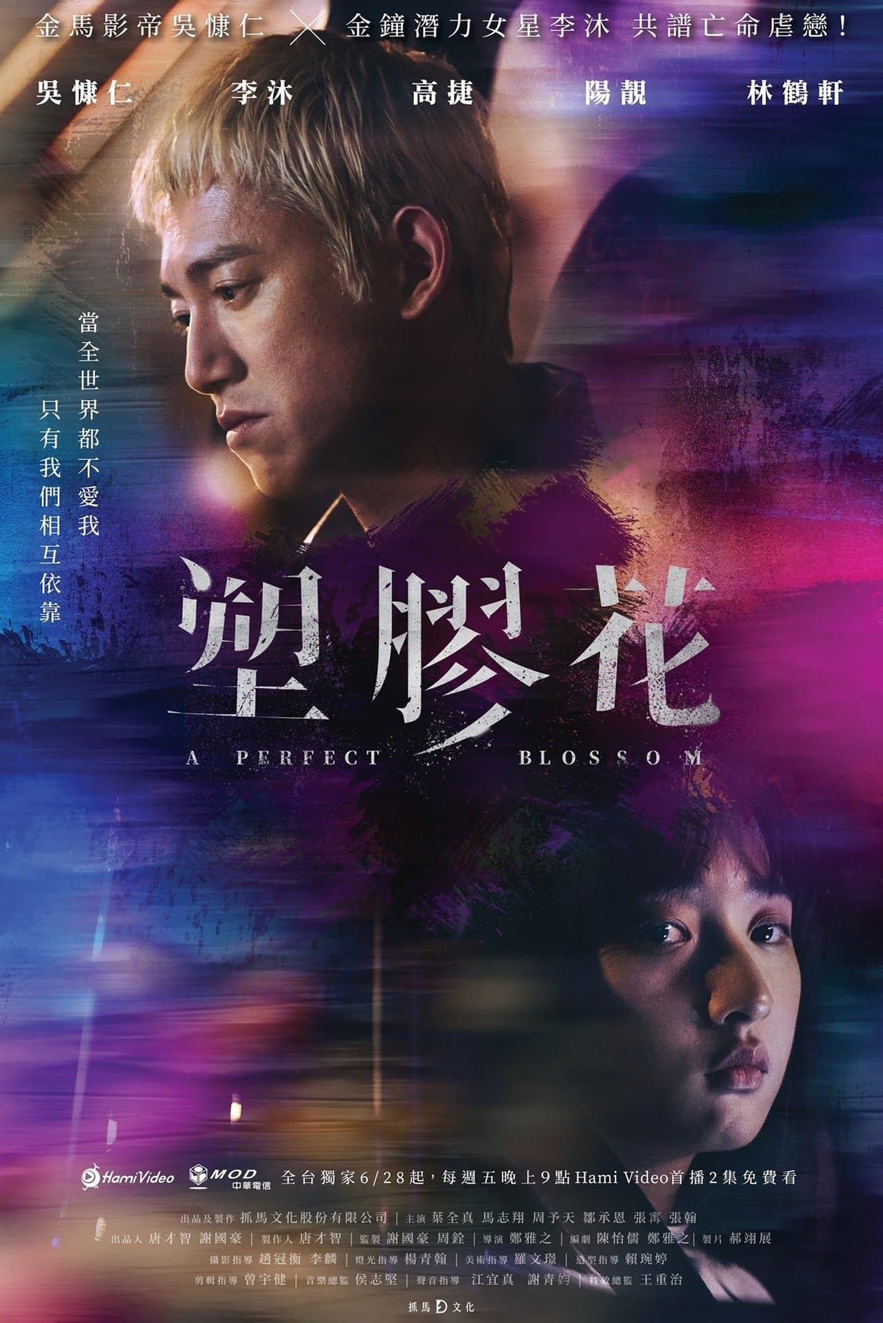 A Perfect Blossom streaming