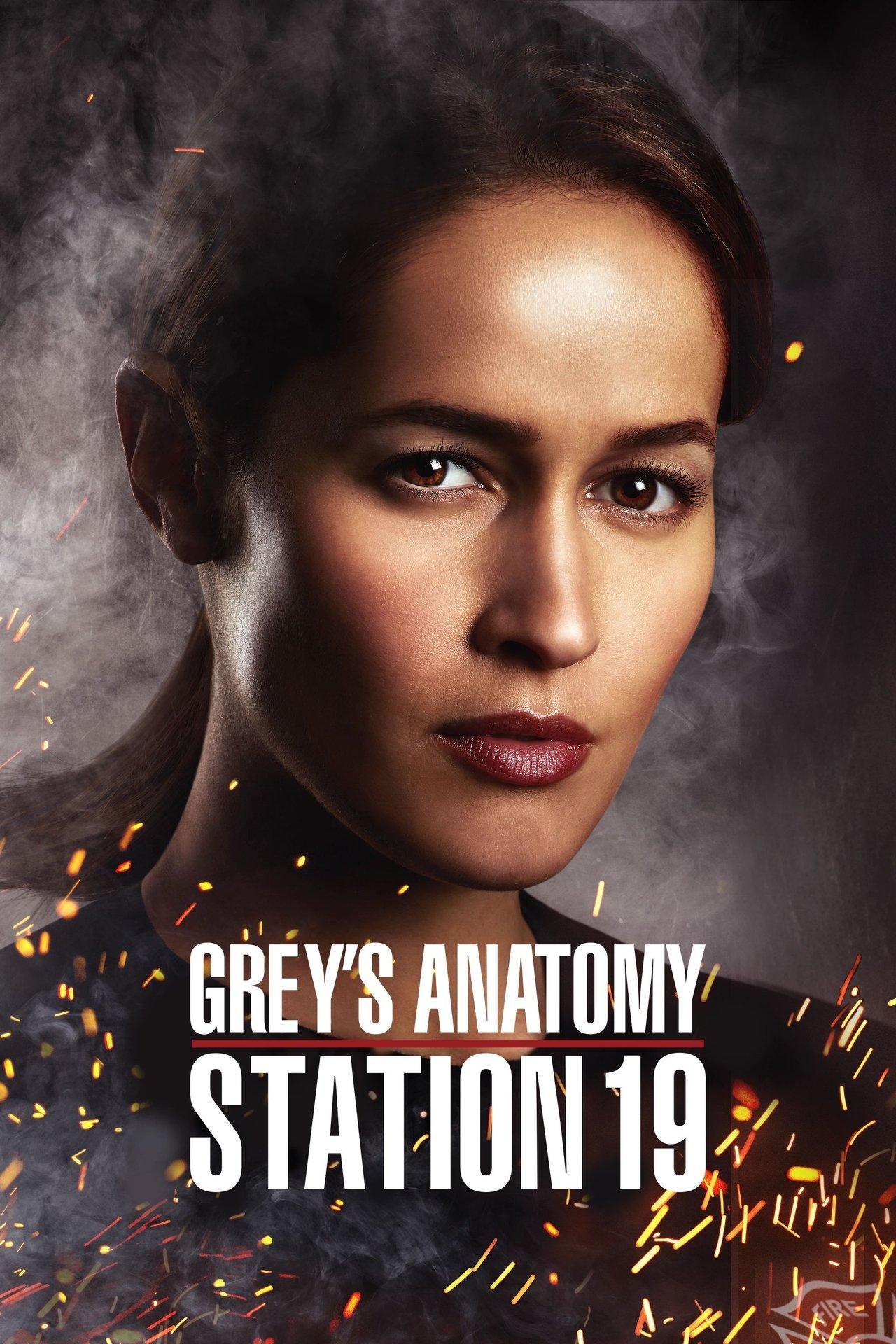 Grey's Anatomy : Station 19 streaming