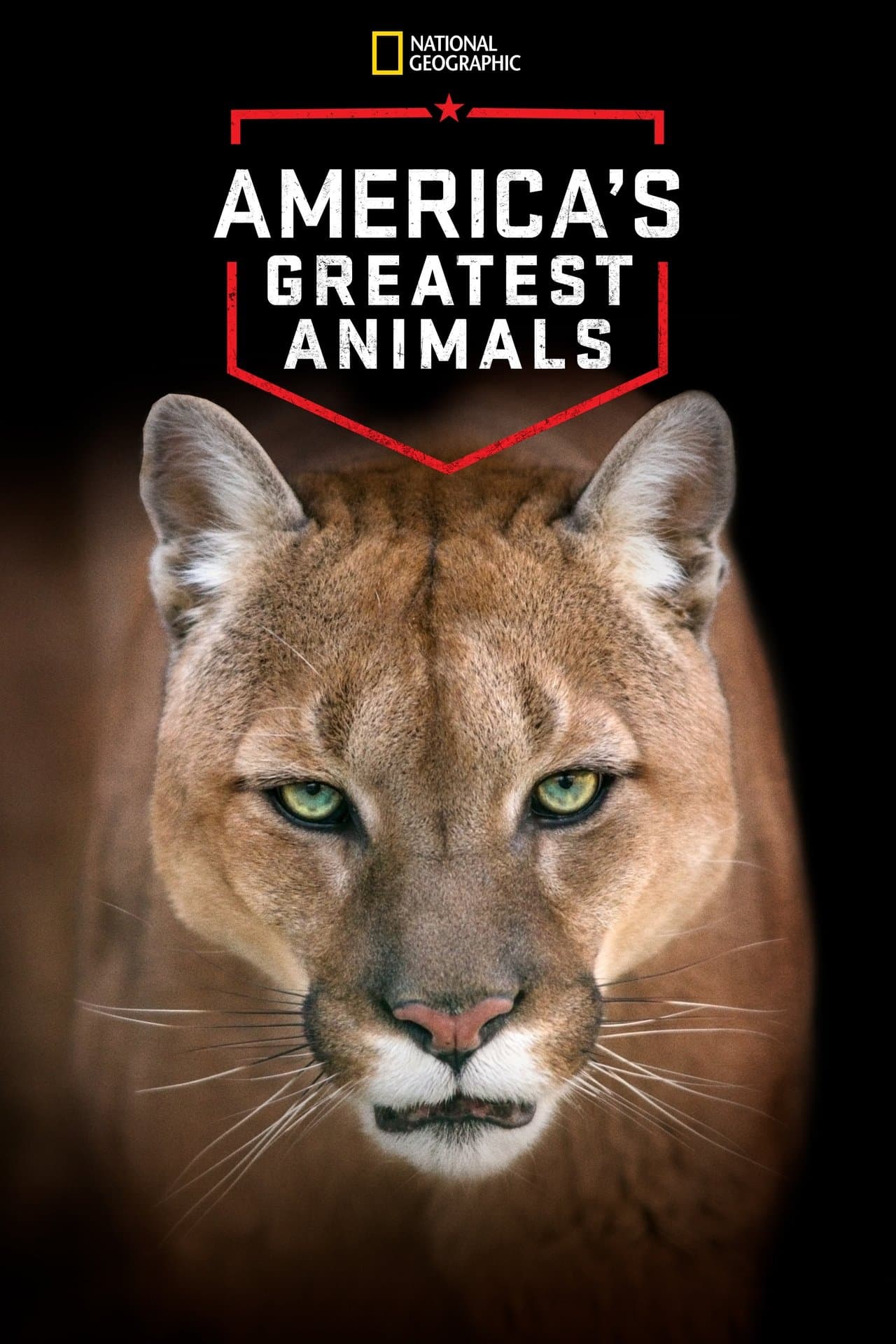 America's Greatest Animals streaming