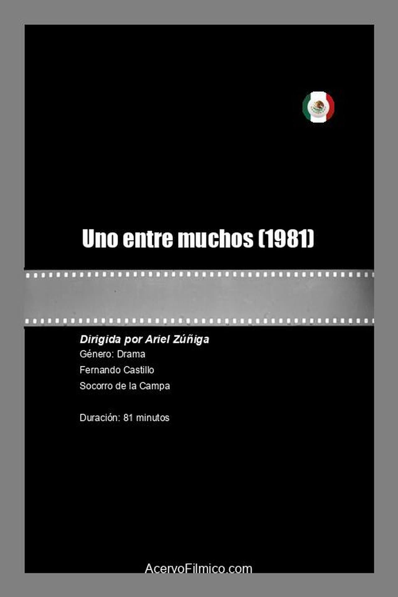 Uno entre muchos streaming