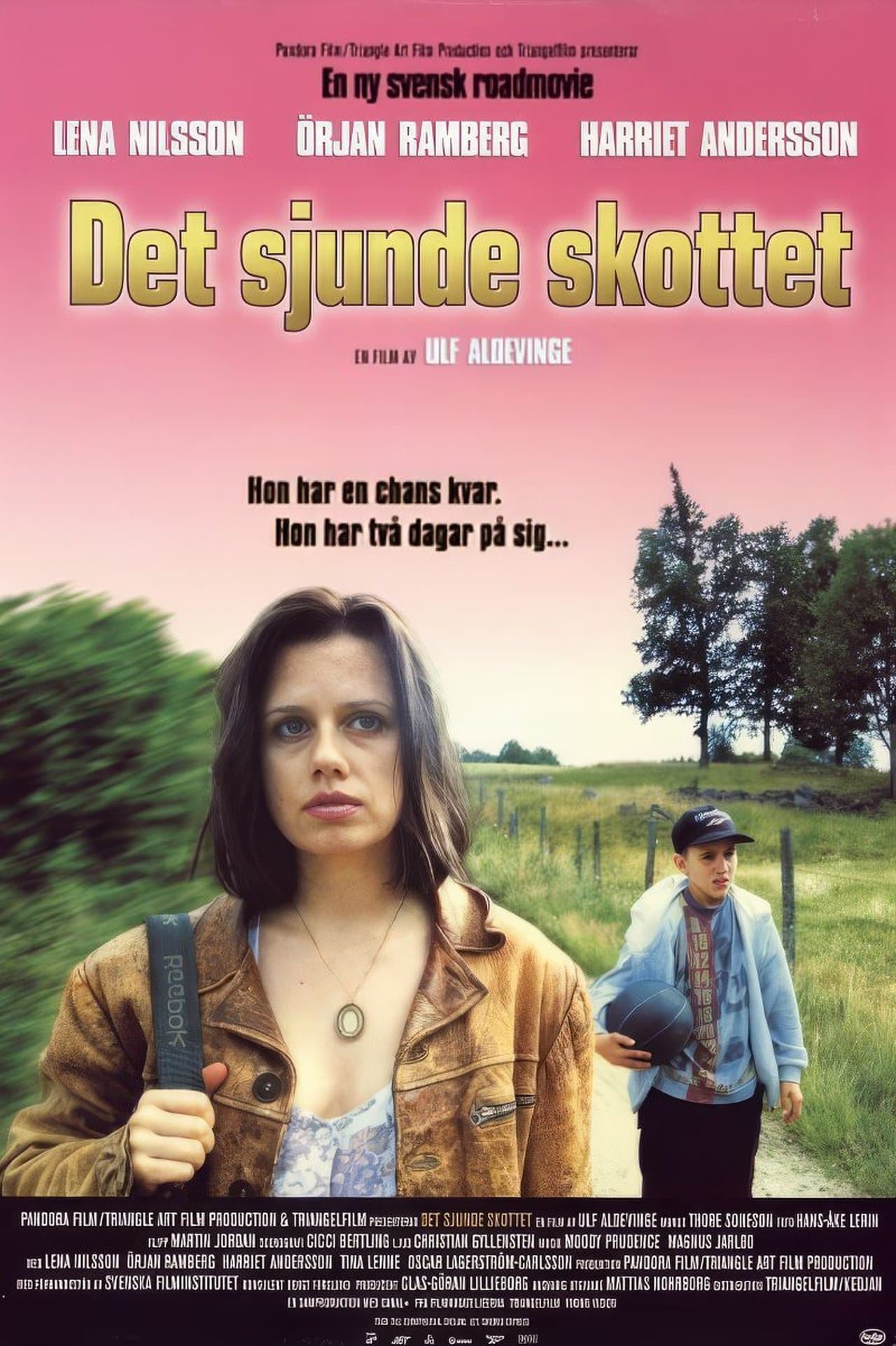 Det sjunde skottet streaming