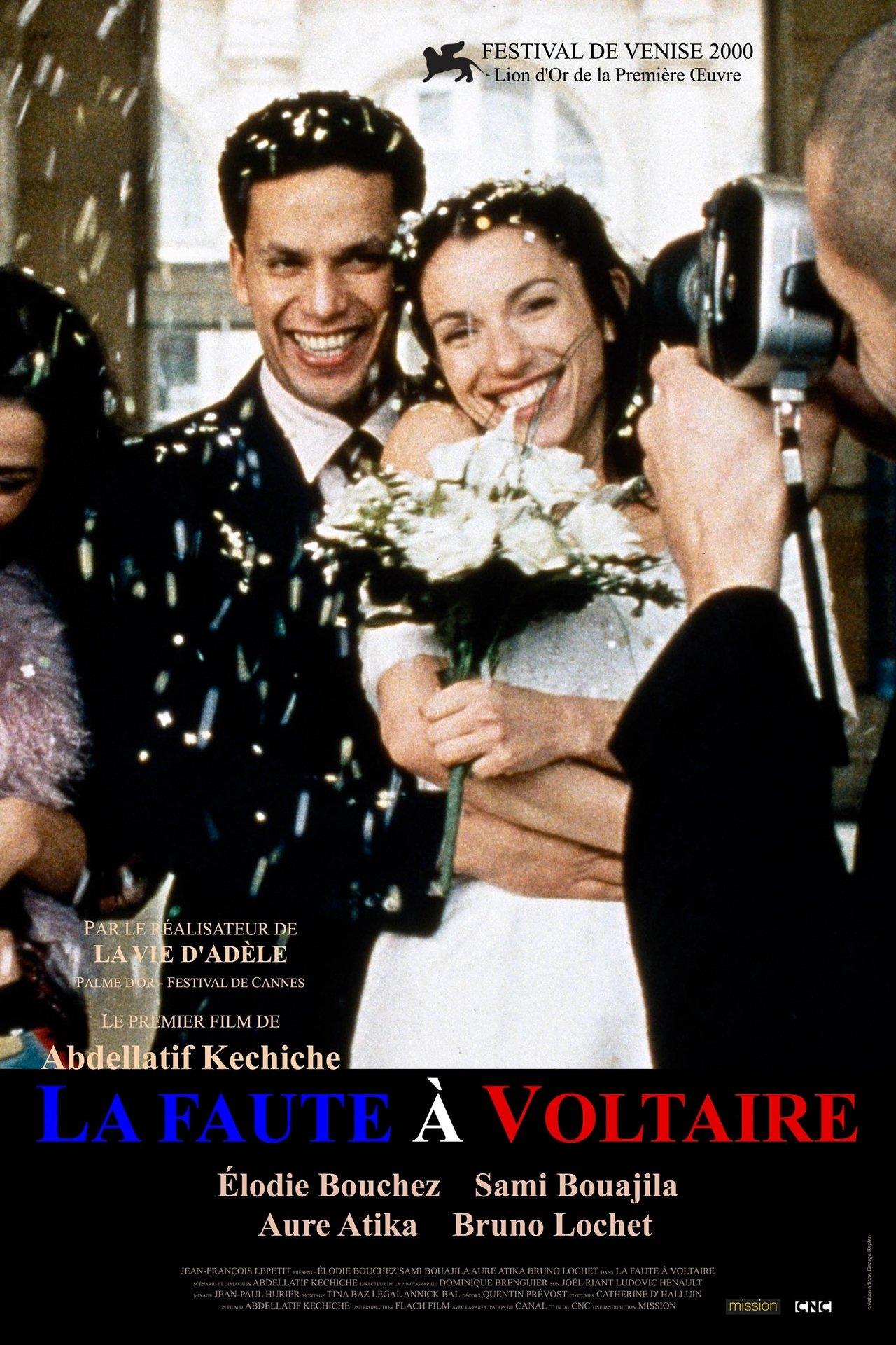 La Faute à Voltaire streaming