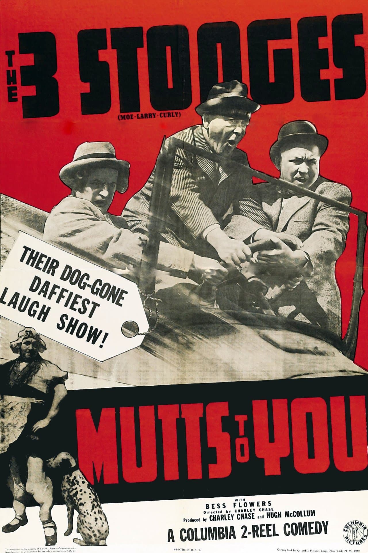Mutts to You streaming