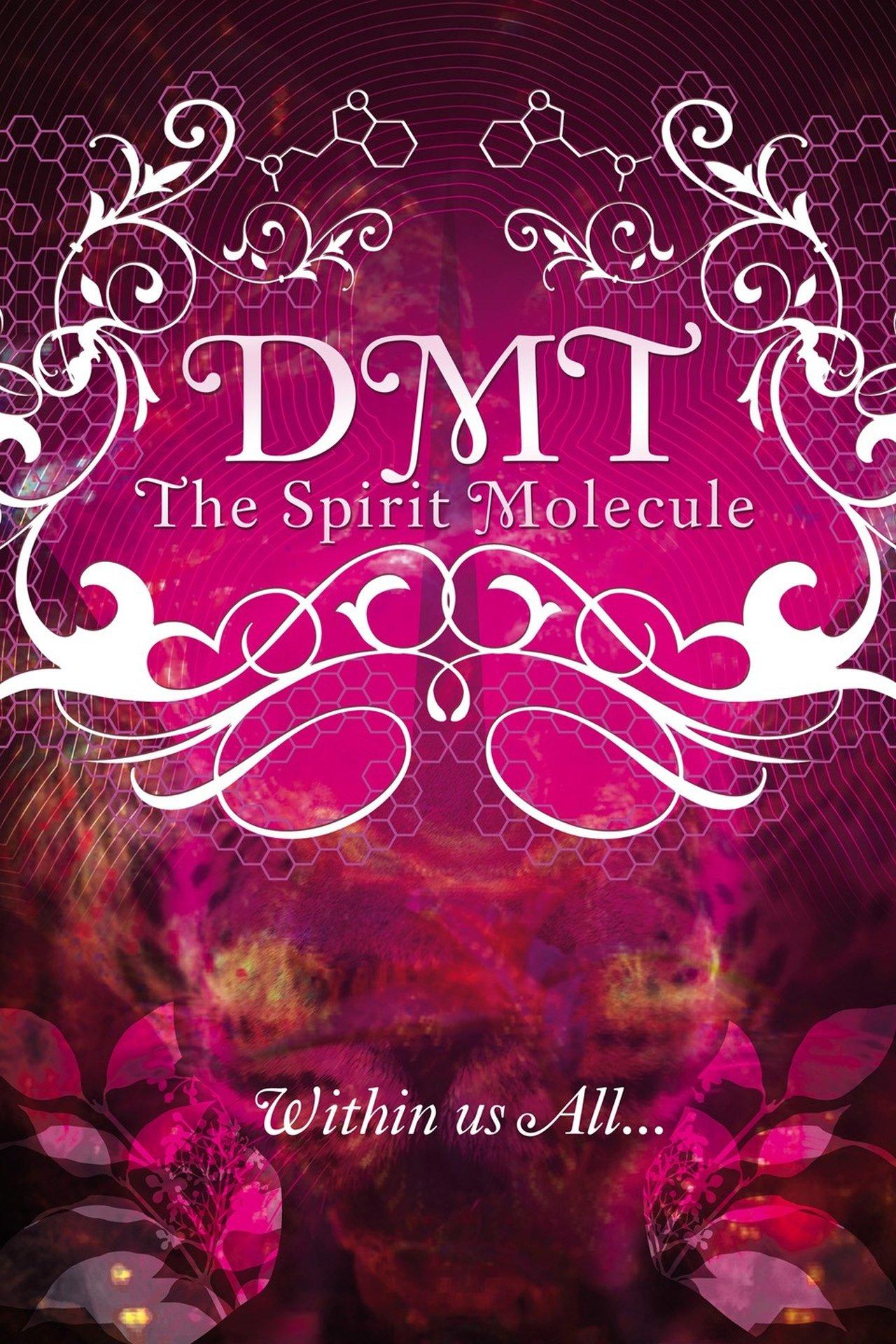 DMT: The Spirit Molecule streaming