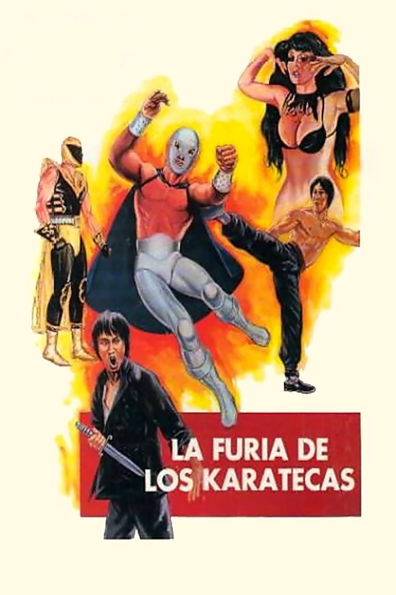 The Fury of the Karate Experts streaming