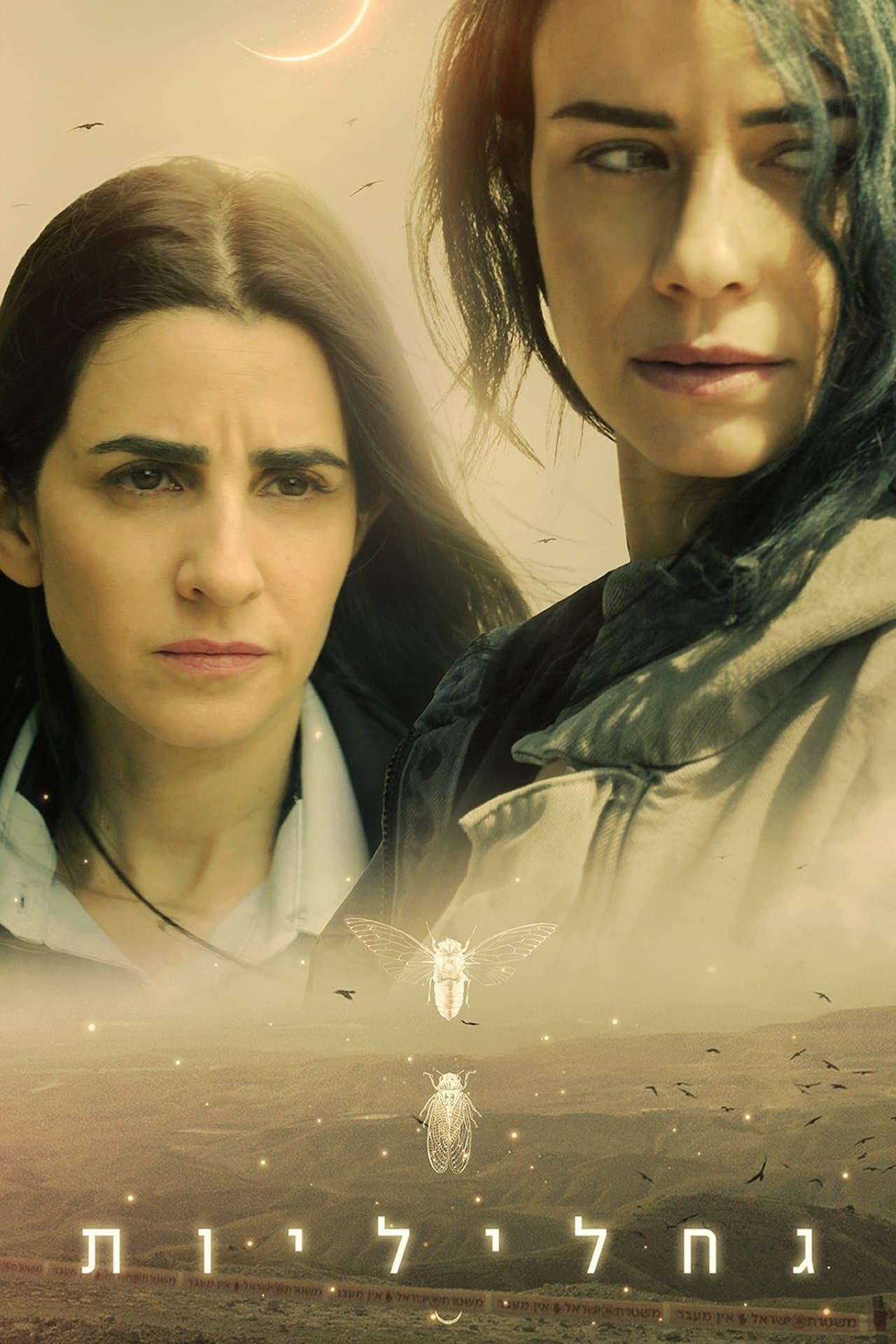 גחליליות streaming