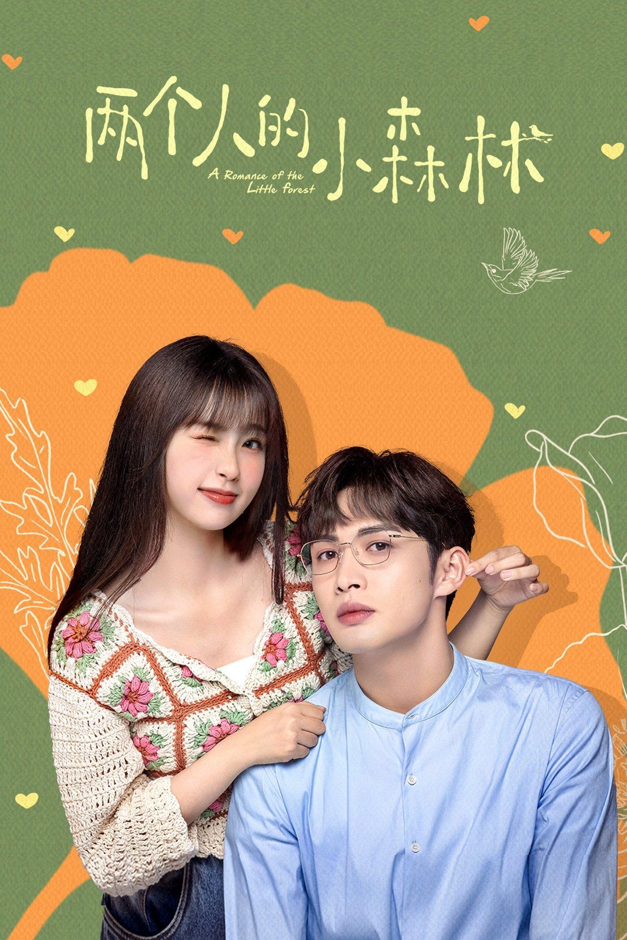 两个人的小森林 streaming