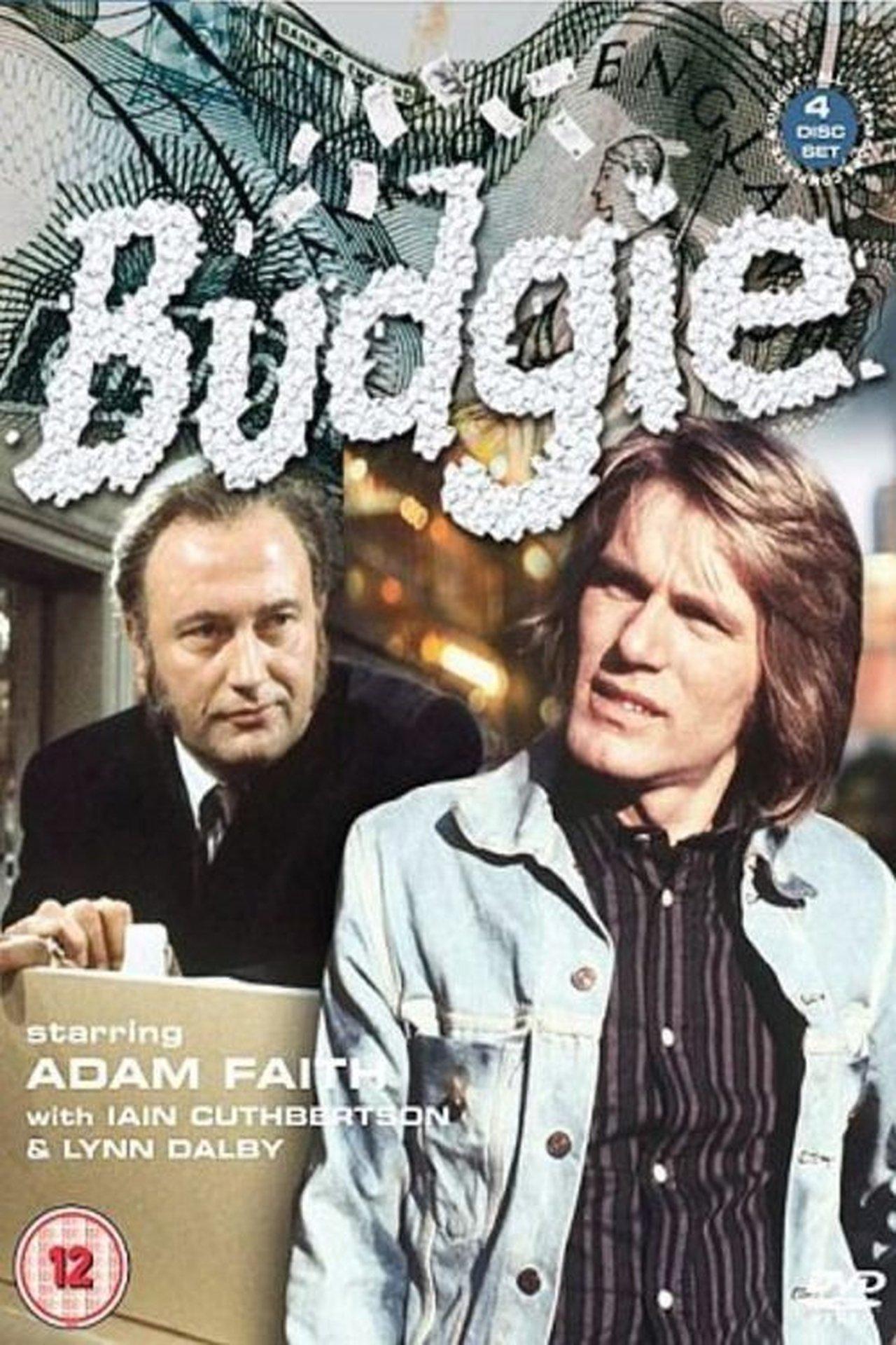 Budgie streaming