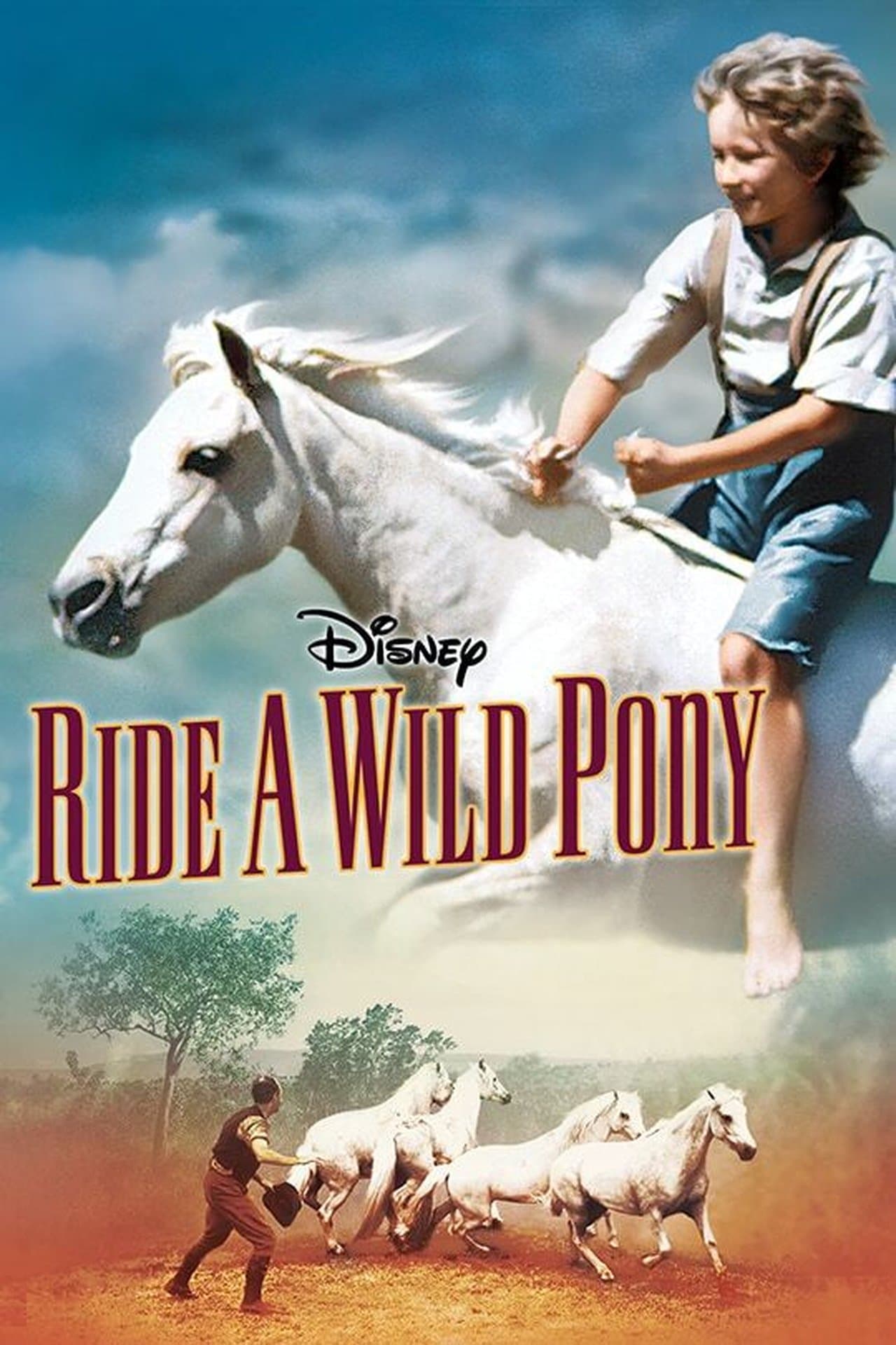 Ride a Wild Pony streaming