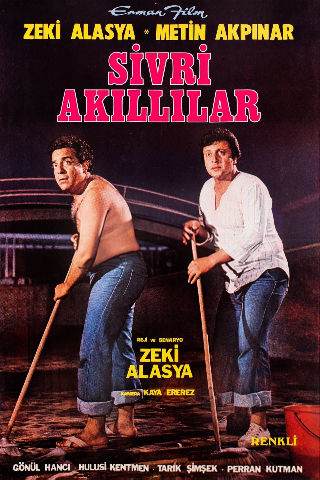 Sivri Akıllılar streaming