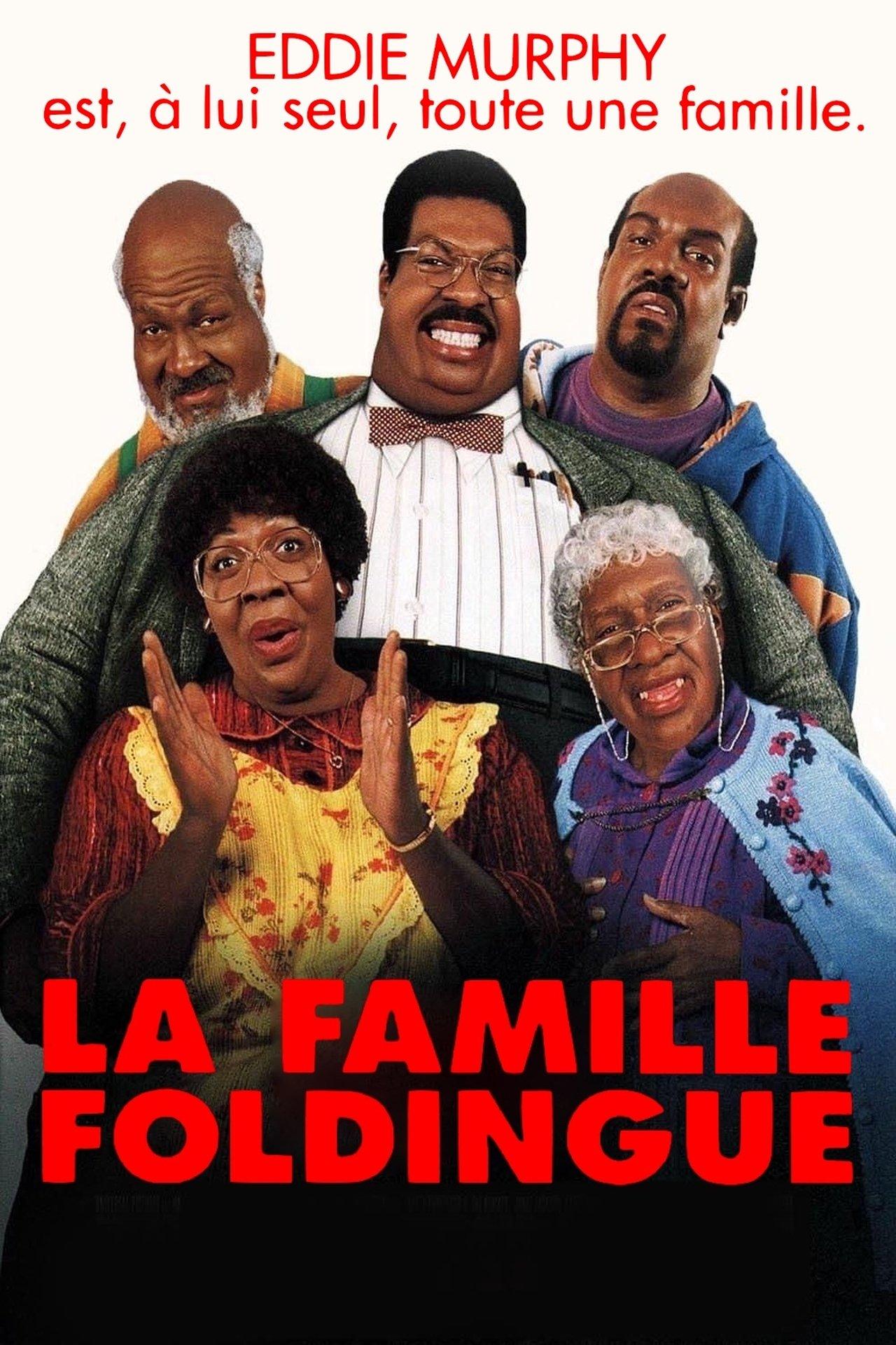 La Famille Foldingue streaming