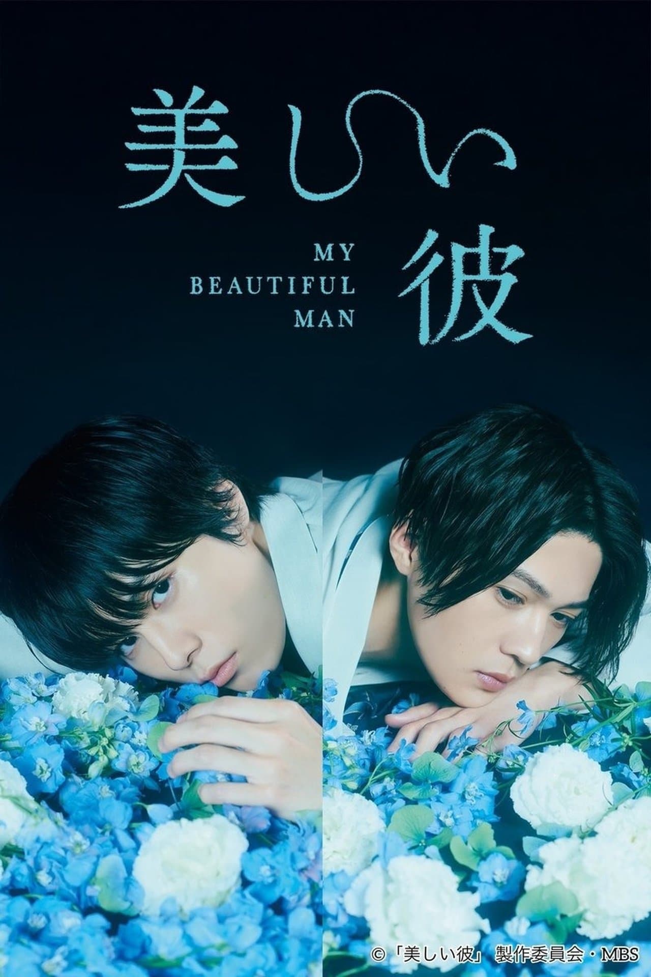 美しい彼 streaming