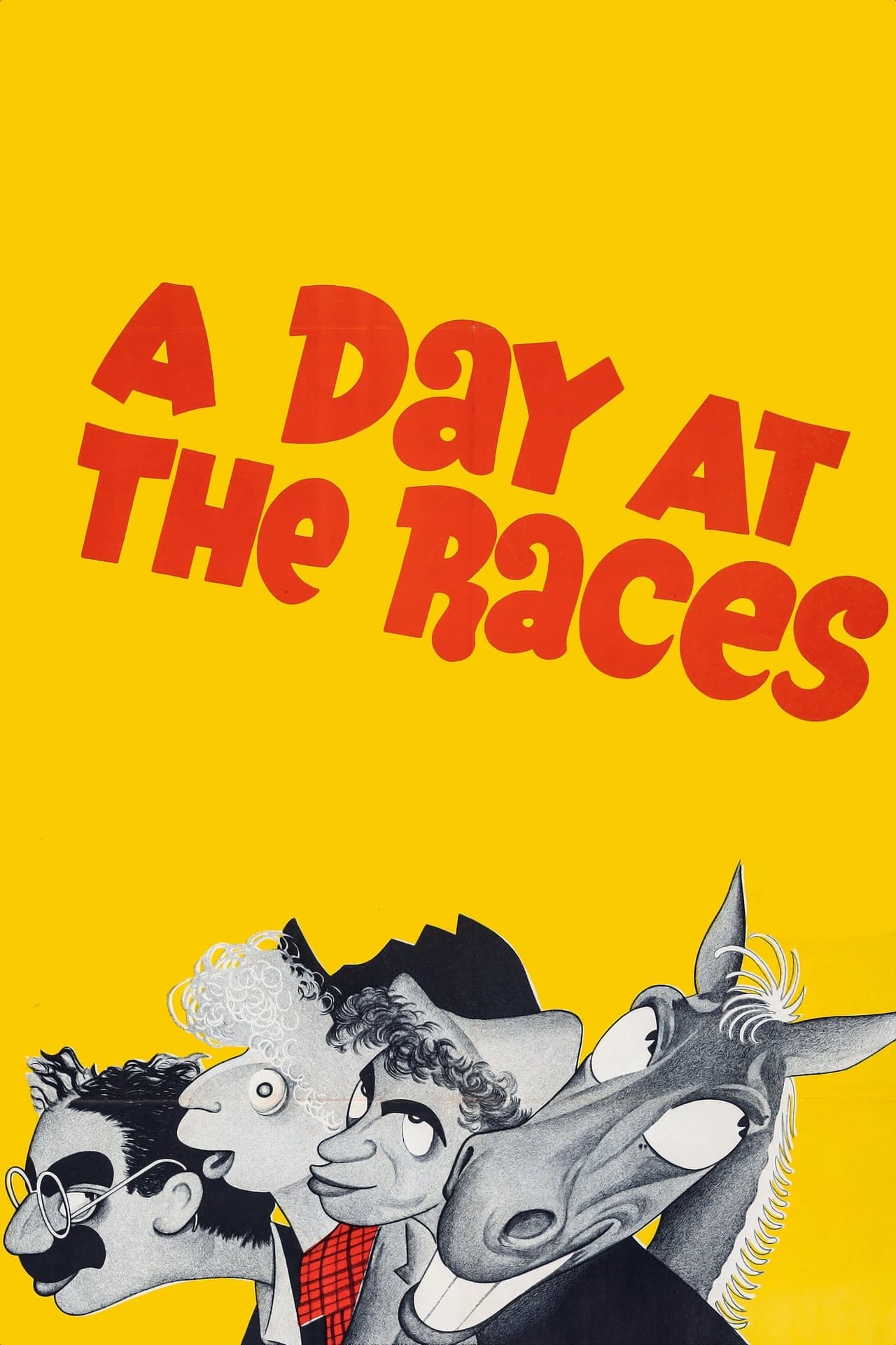 A Day at the Races streaming