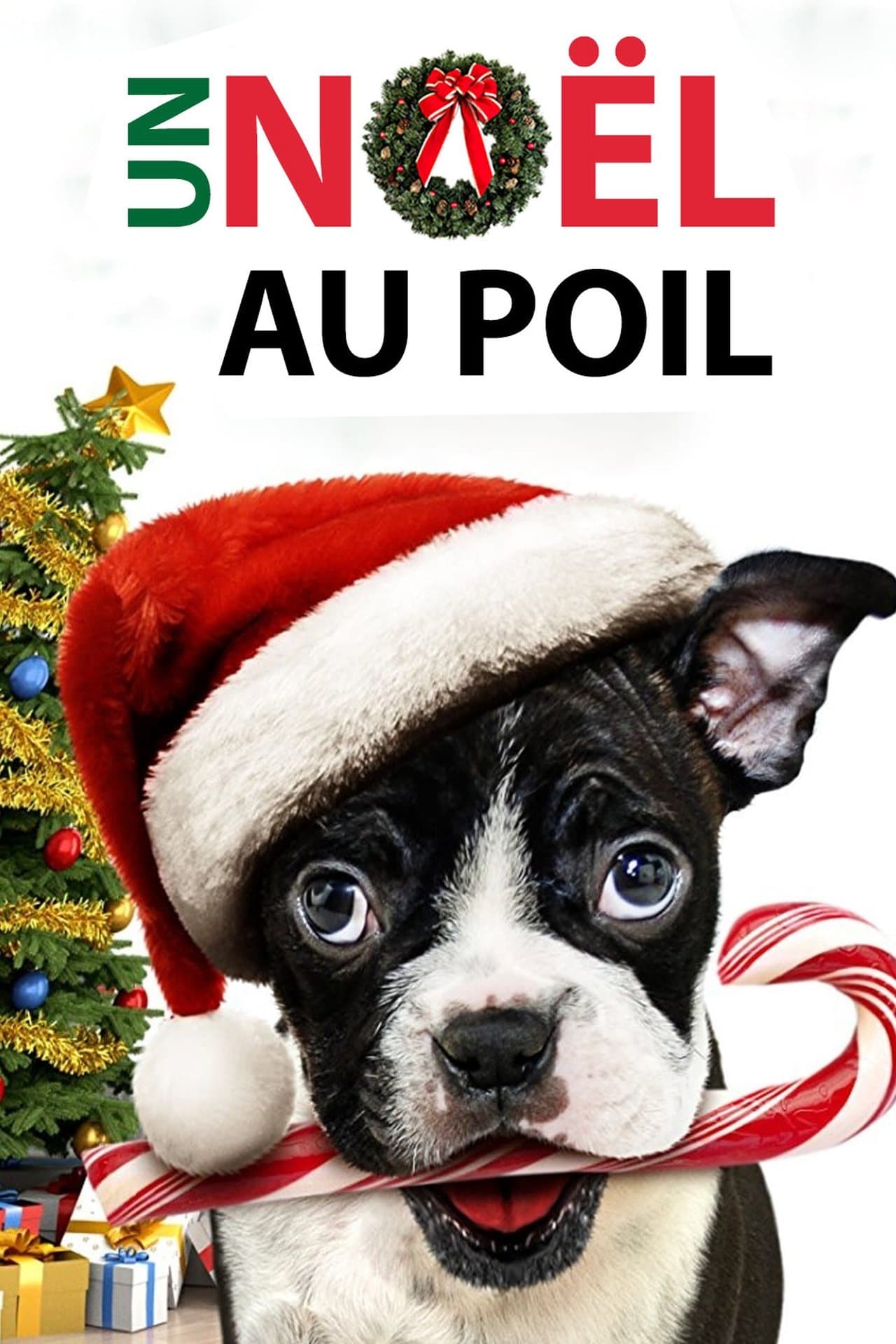 Un Noël au poil streaming