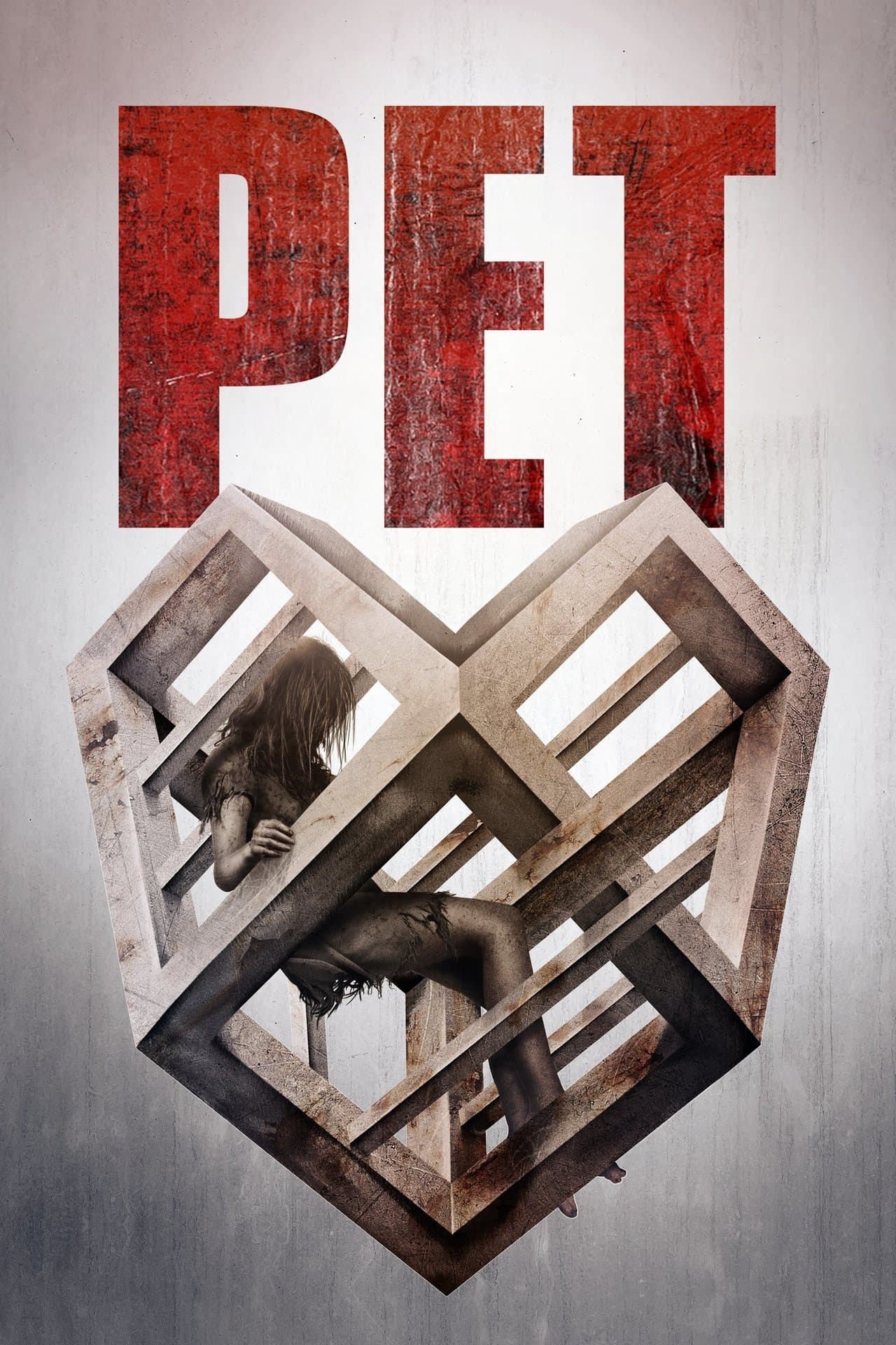 Pet streaming