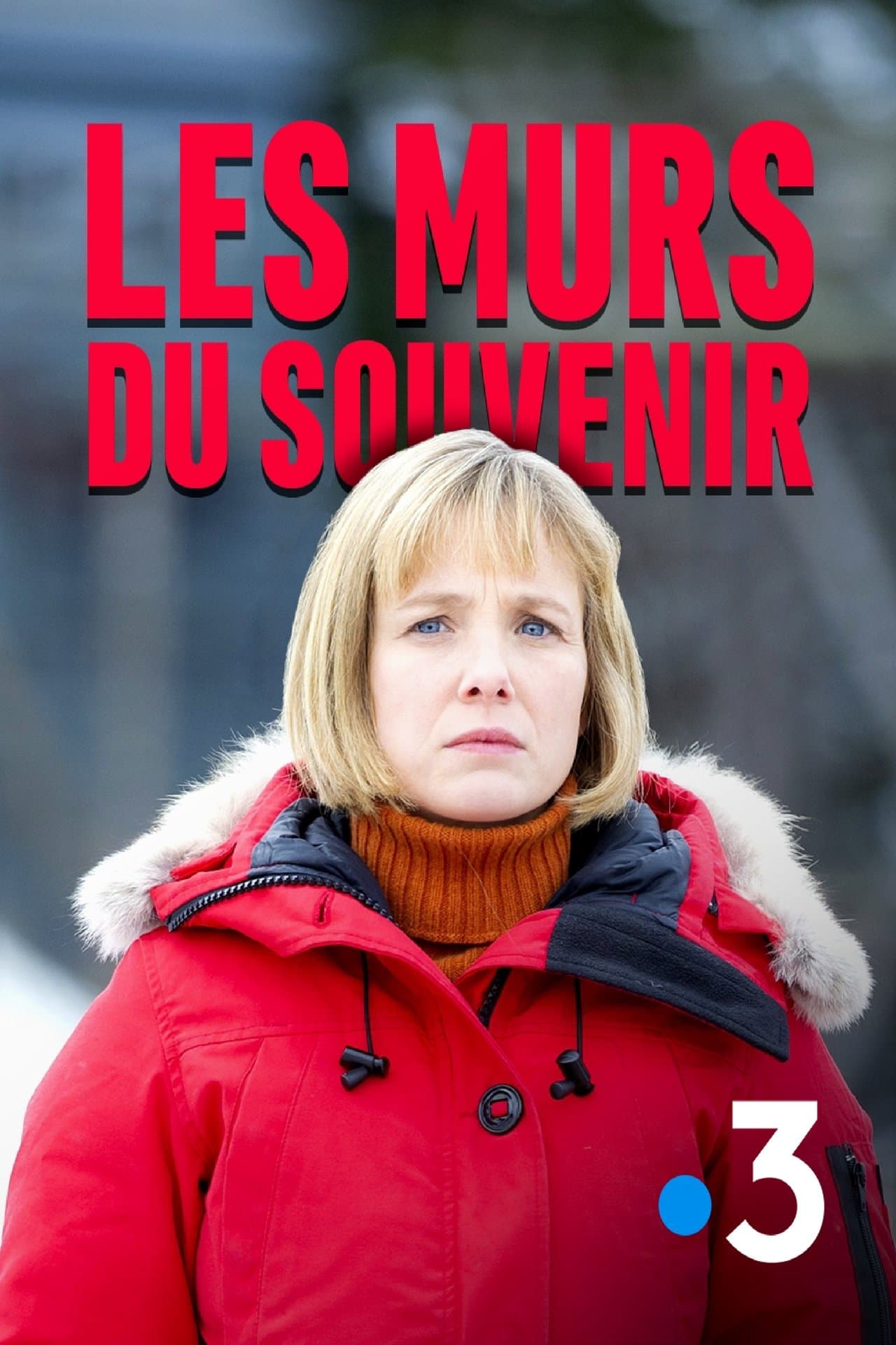 Les murs du souvenir streaming