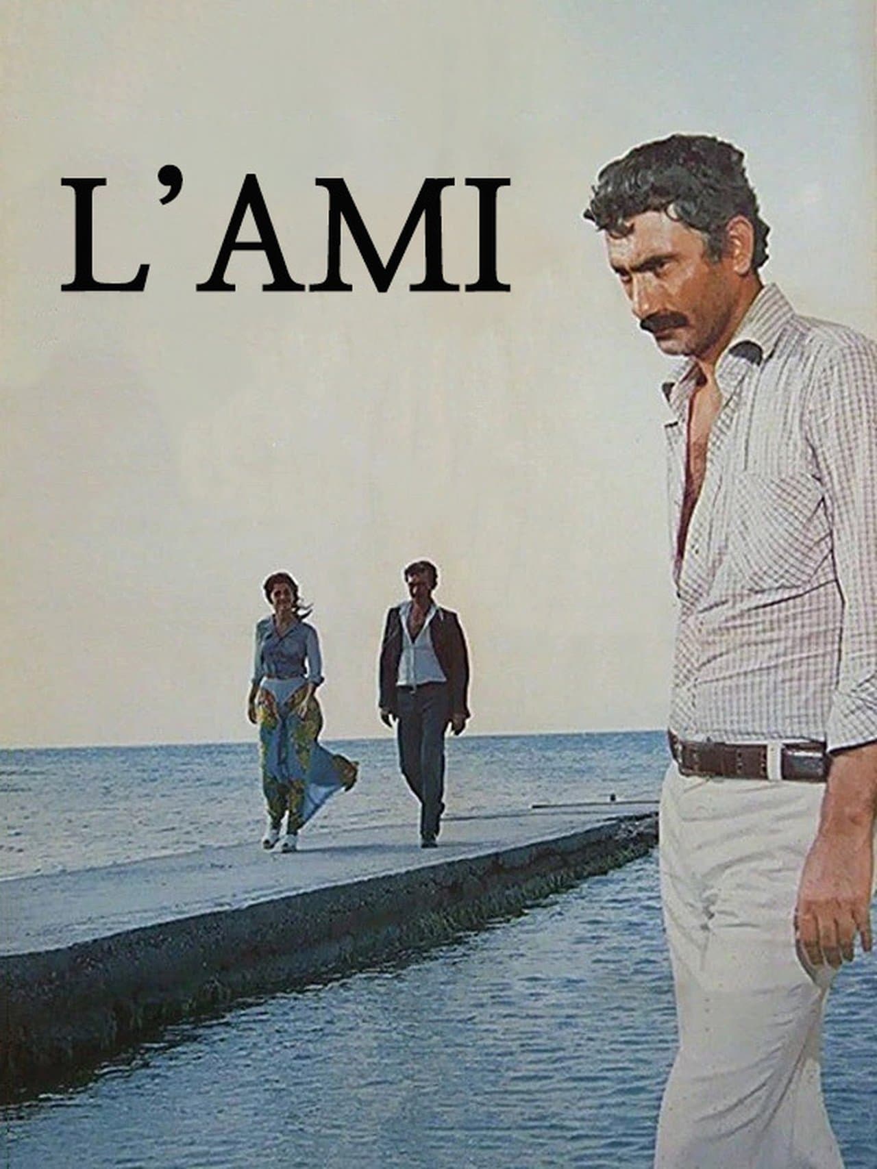 L'Ami streaming