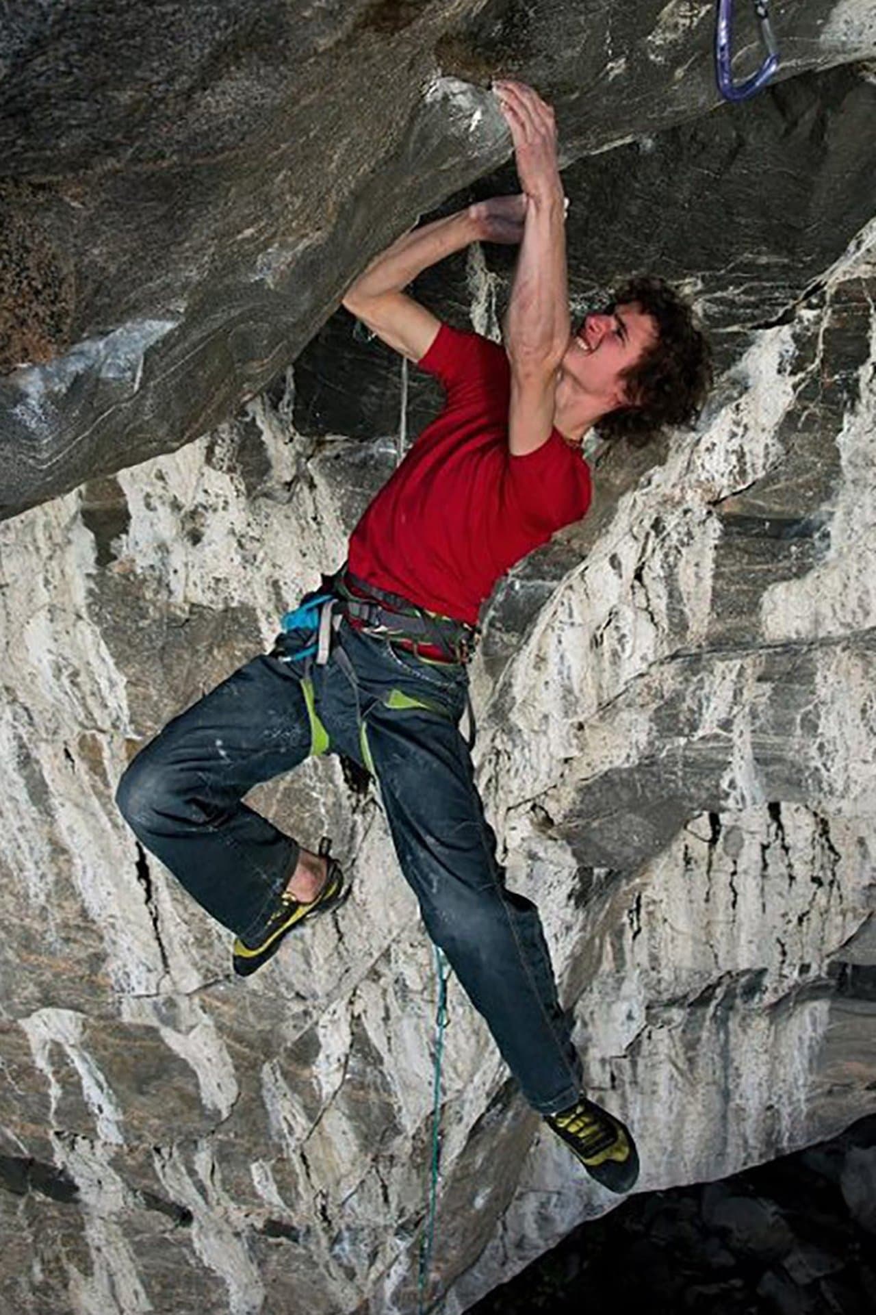 The Wizard's Apprentice streaming