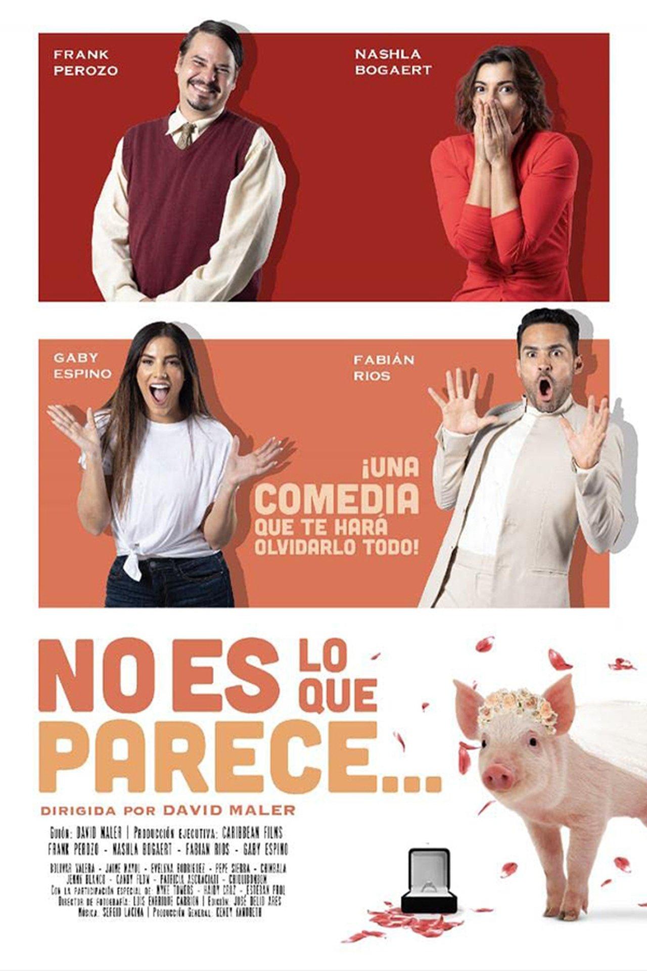 No es lo que parece streaming