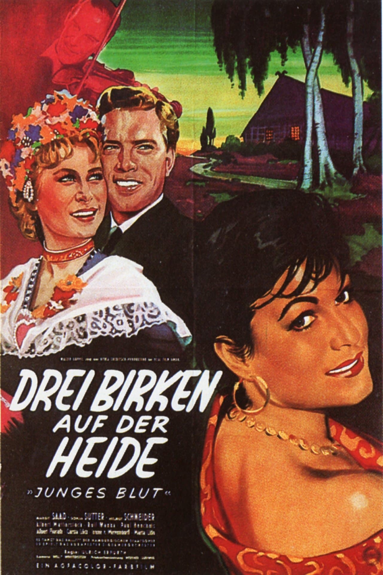 Drei Birken auf der Heide streaming