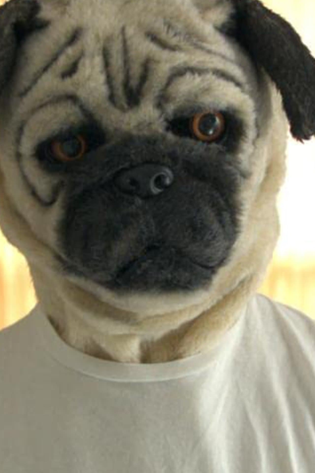 A Pug & Wolf Christmas streaming