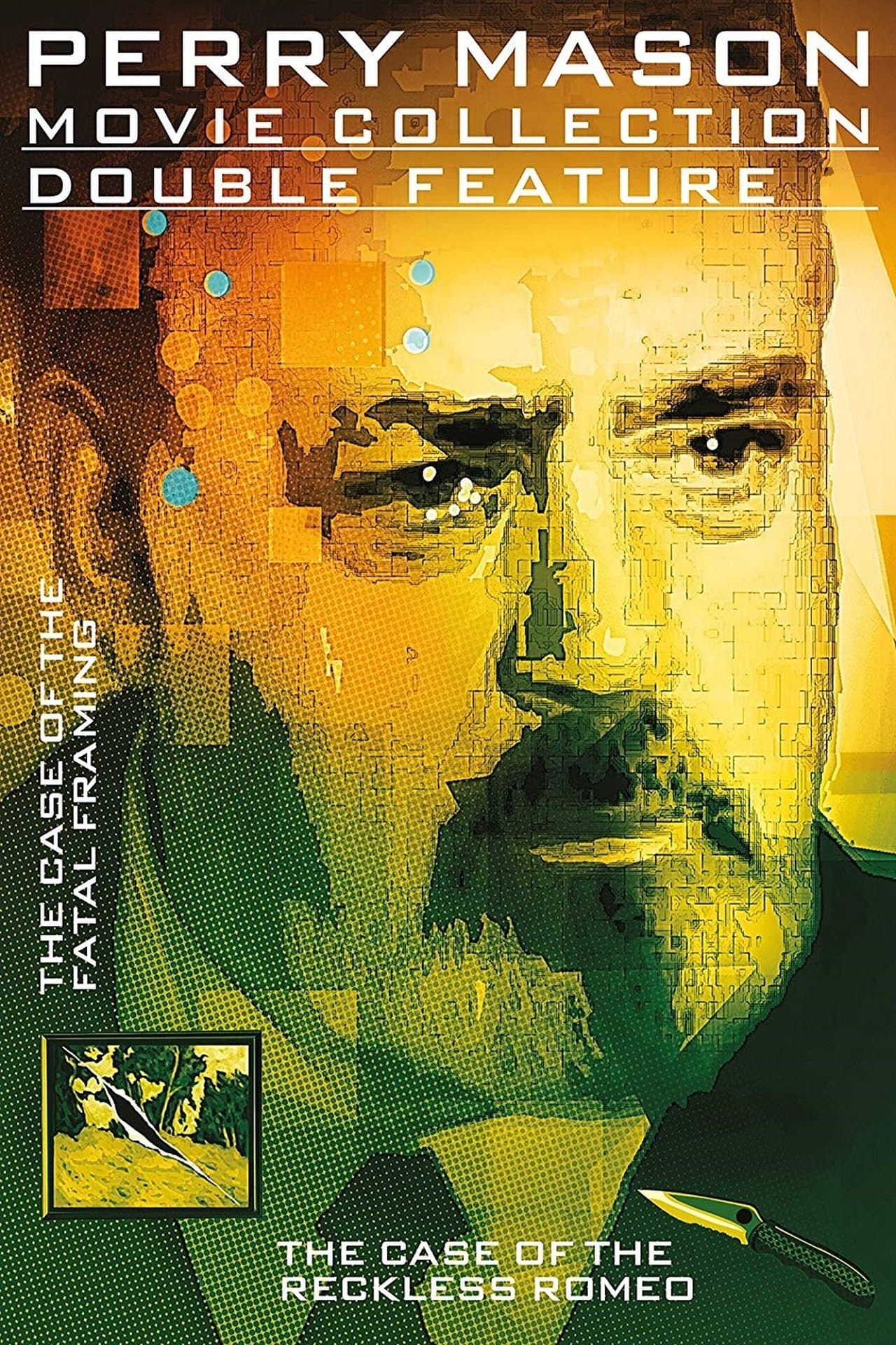 Perry Mason: The Case of the Fatal Framing streaming