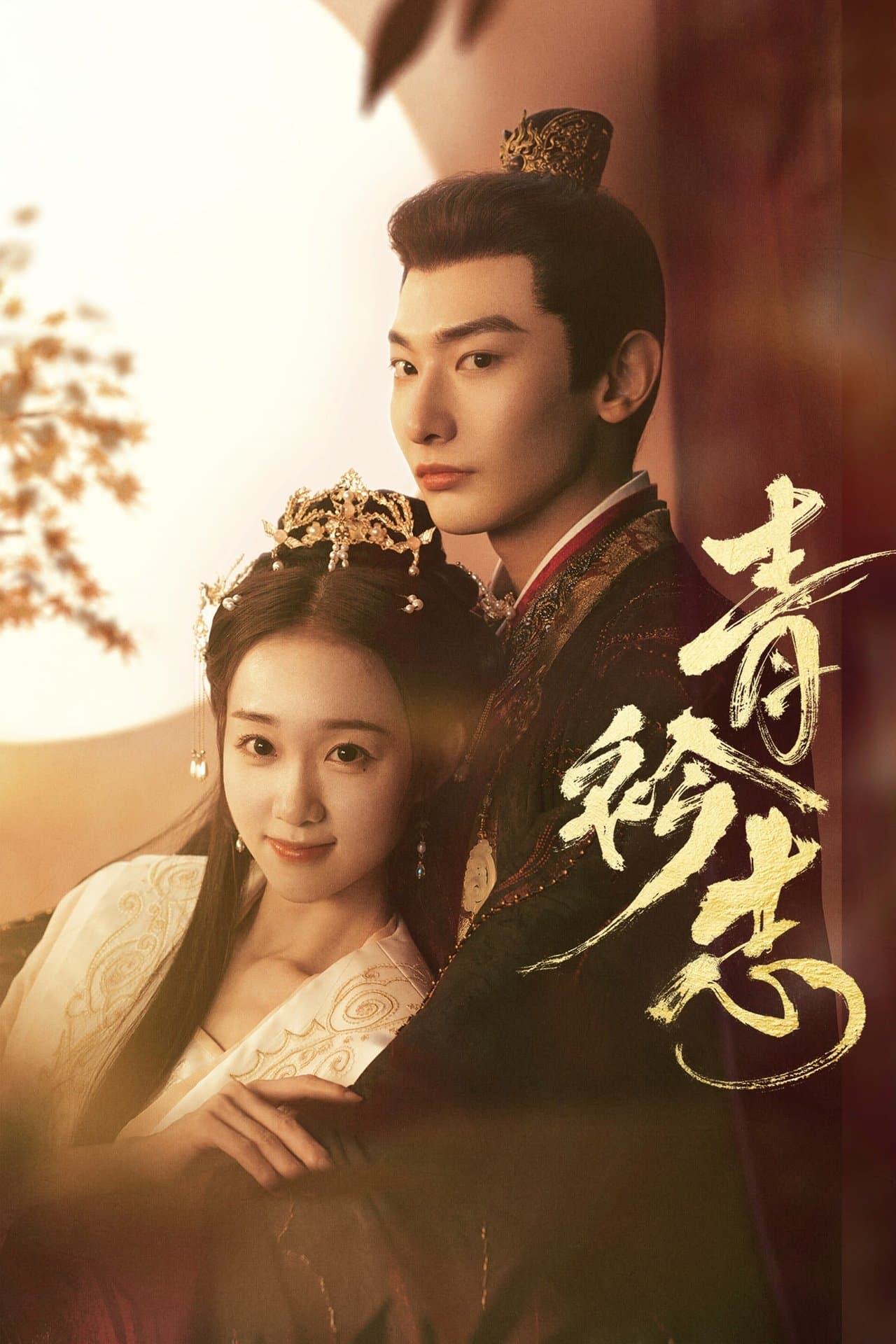 青衿志 streaming
