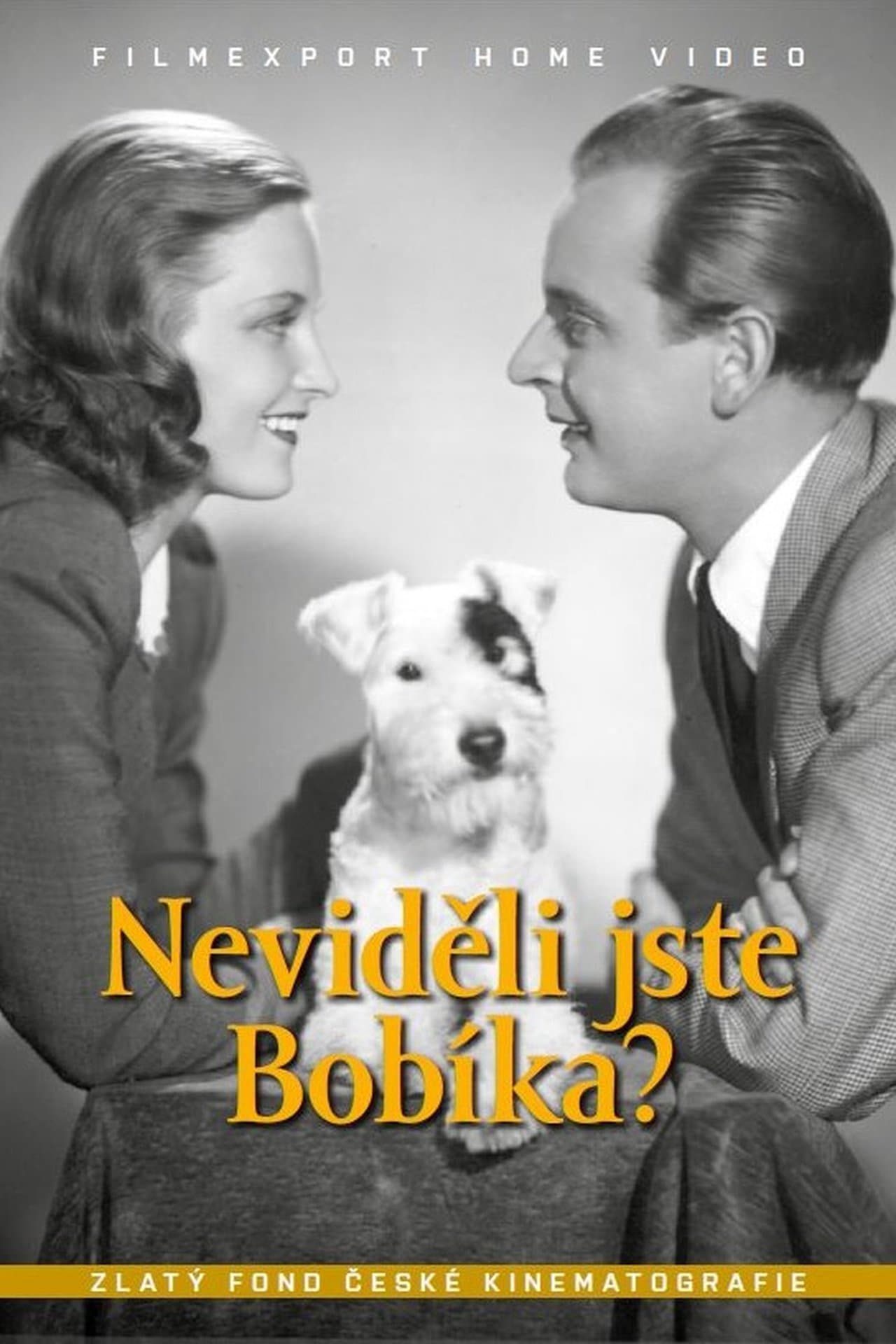 Neviděli jste Bobíka? streaming