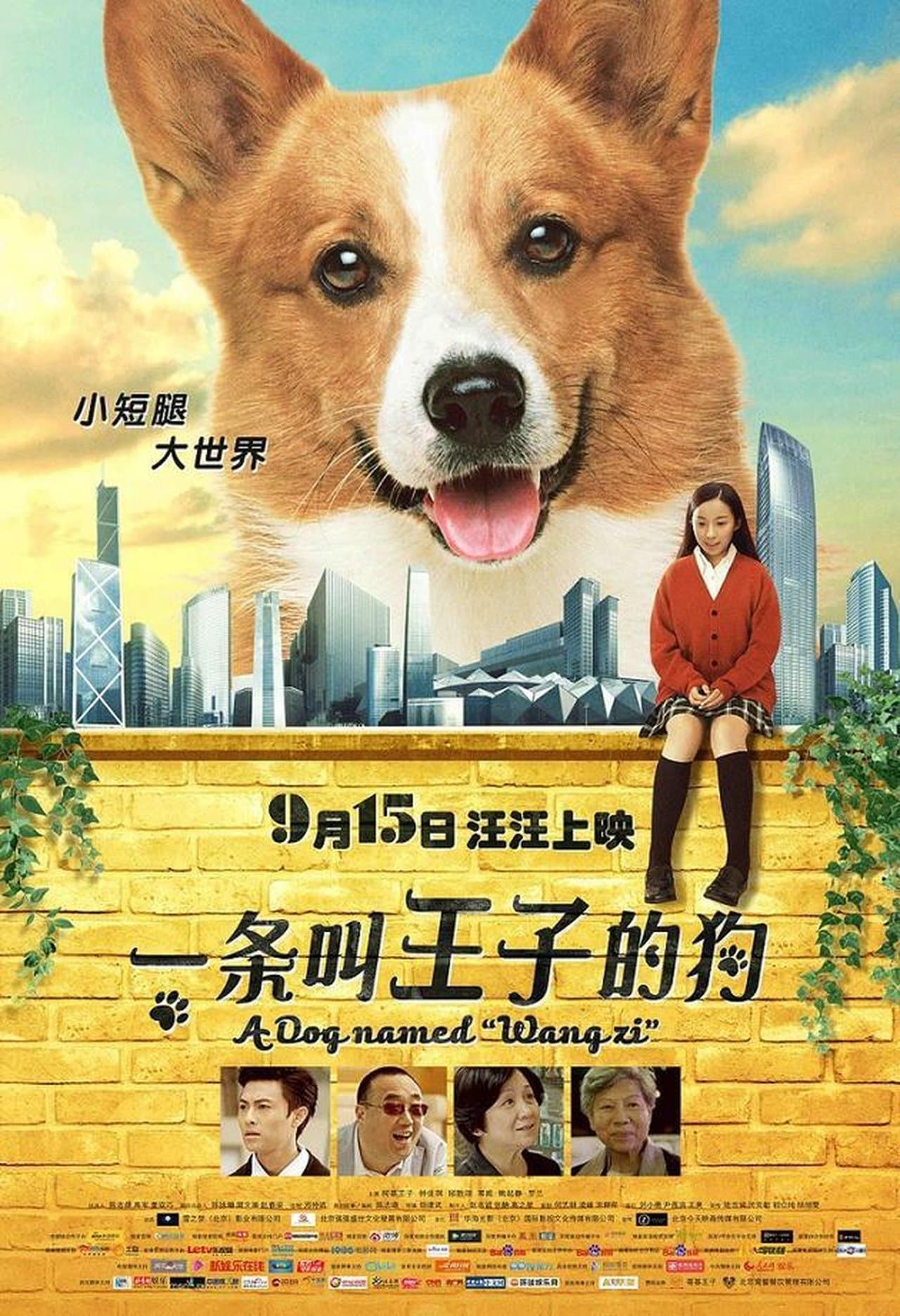 A Dog Named Wang Zi streaming