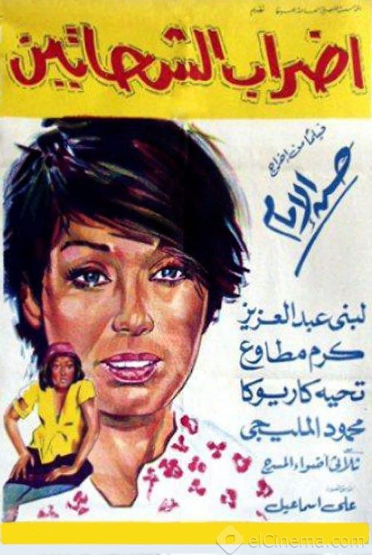 إضراب الشحاتين streaming
