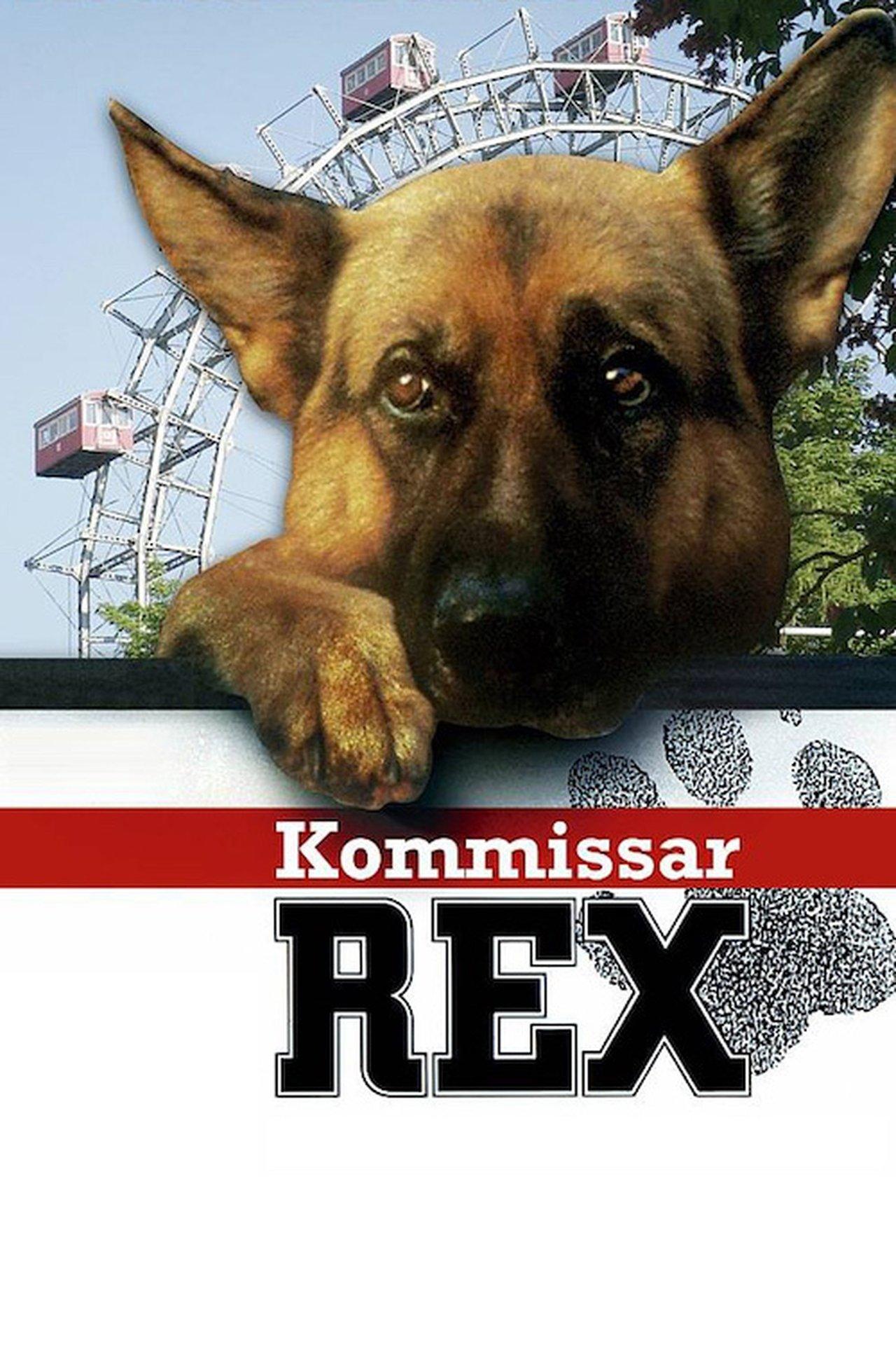Rex, Chien flic streaming