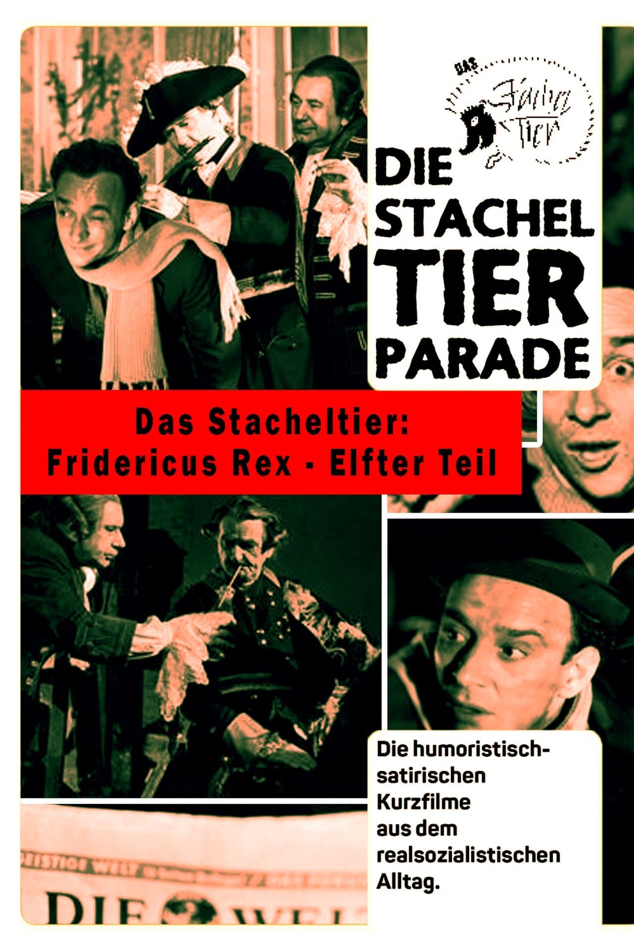 Das Stacheltier: Fridericus Rex – Elfter Teil streaming