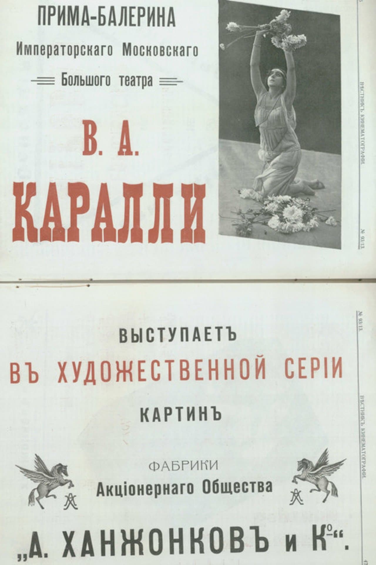 Хризантемы streaming