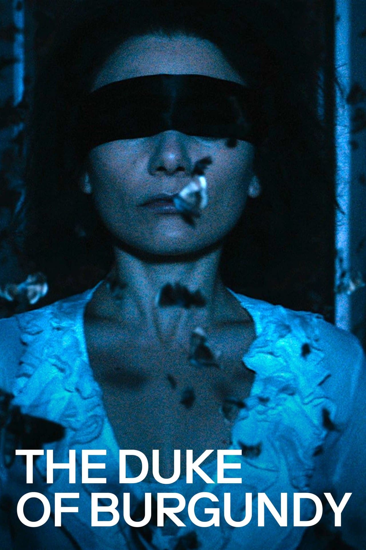 The Duke of Burgundy streaming