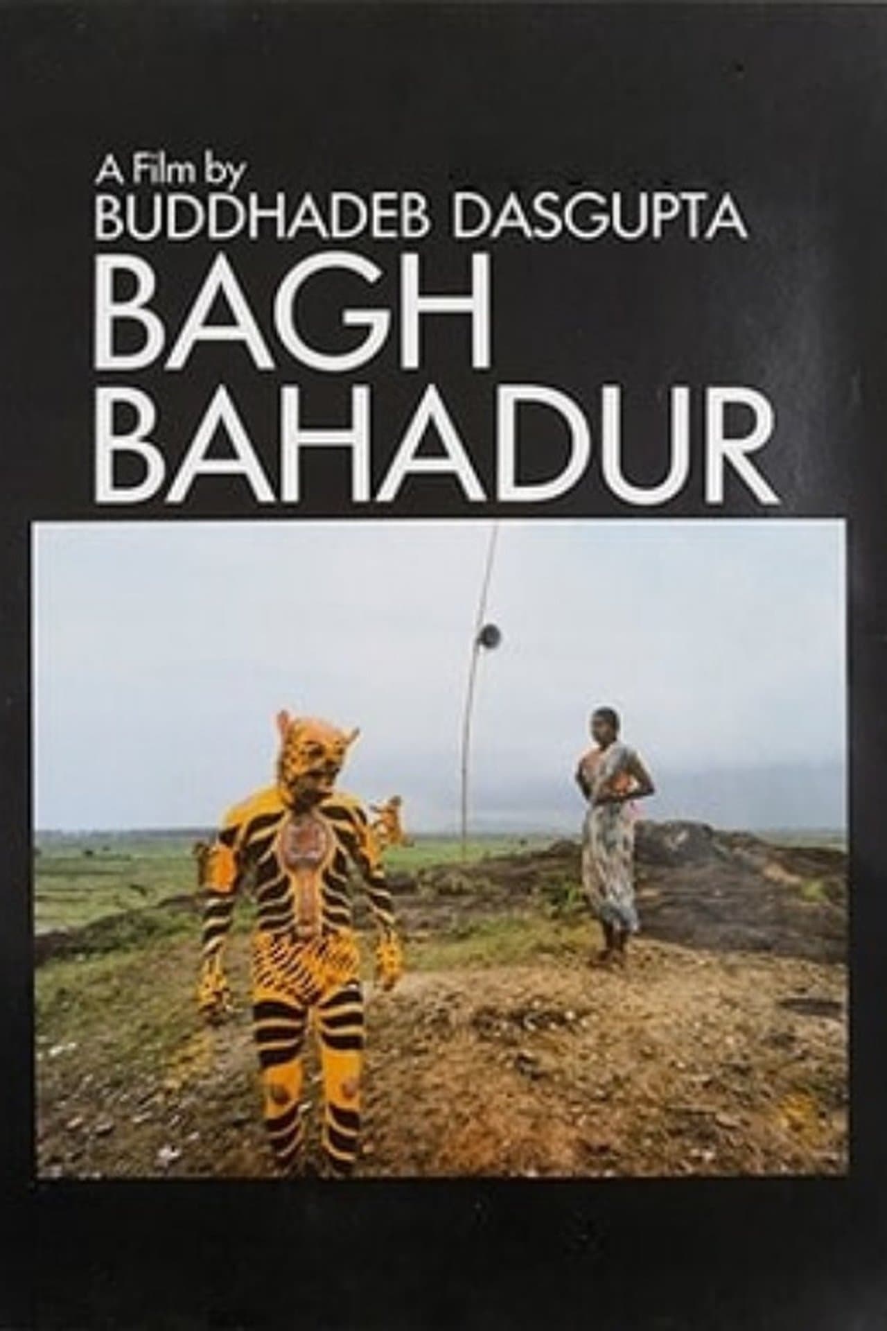 The Tiger Dancer streaming