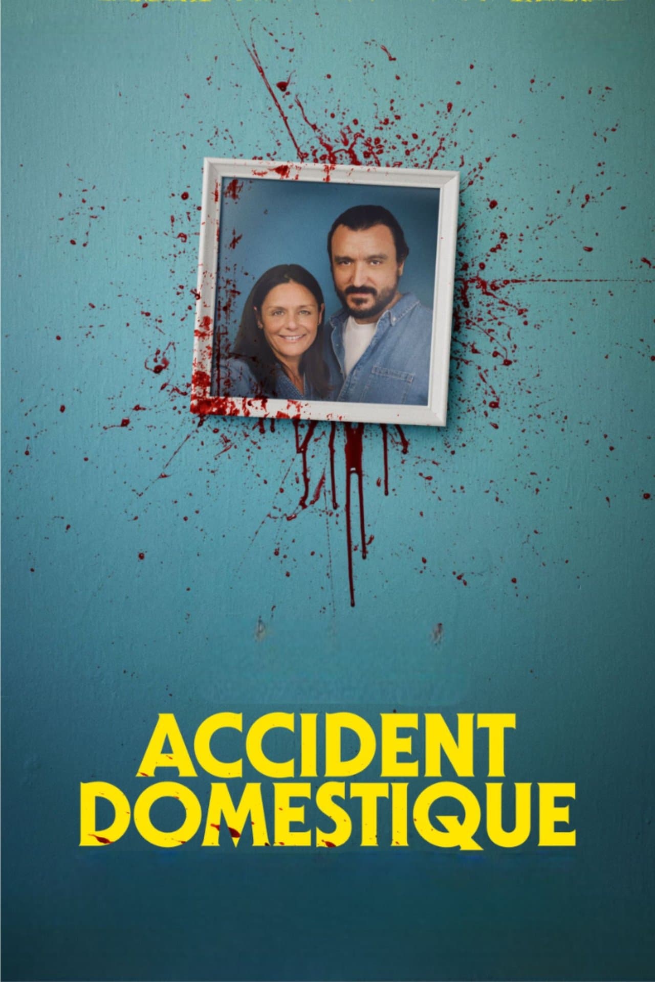 Accident domestique streaming