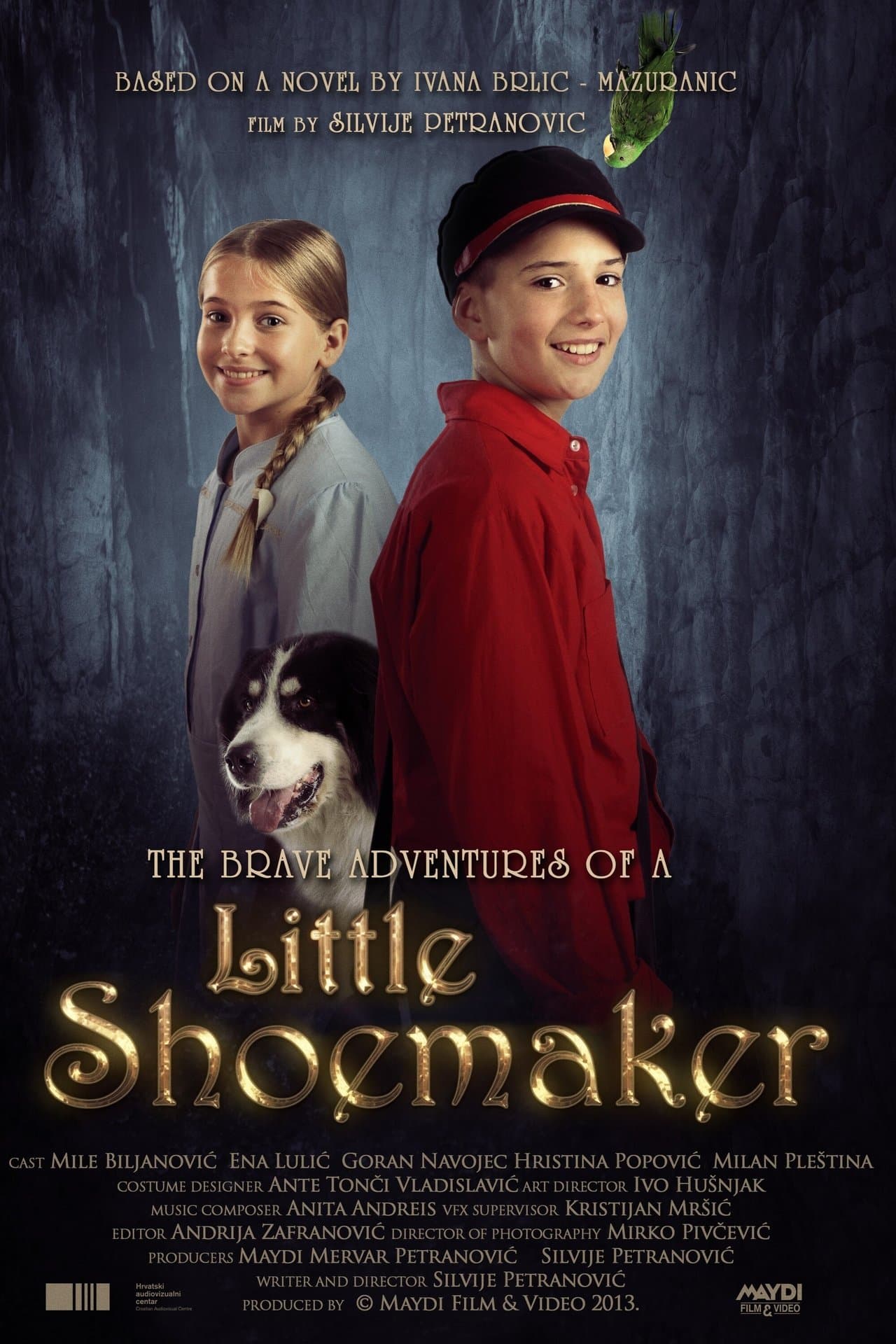 The Brave Adventures of a Little Shoemaker streaming